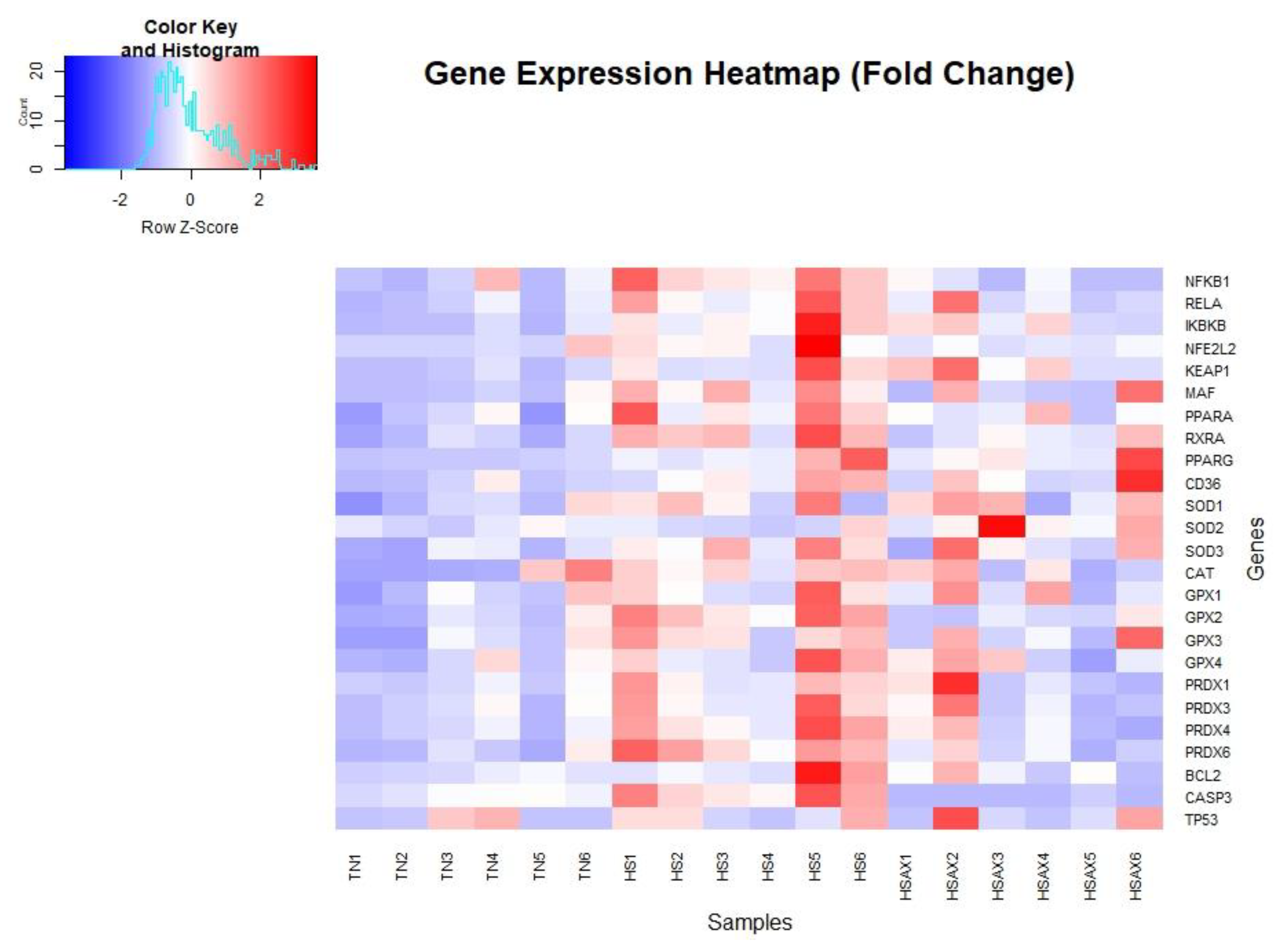 Preprints 108396 g002
