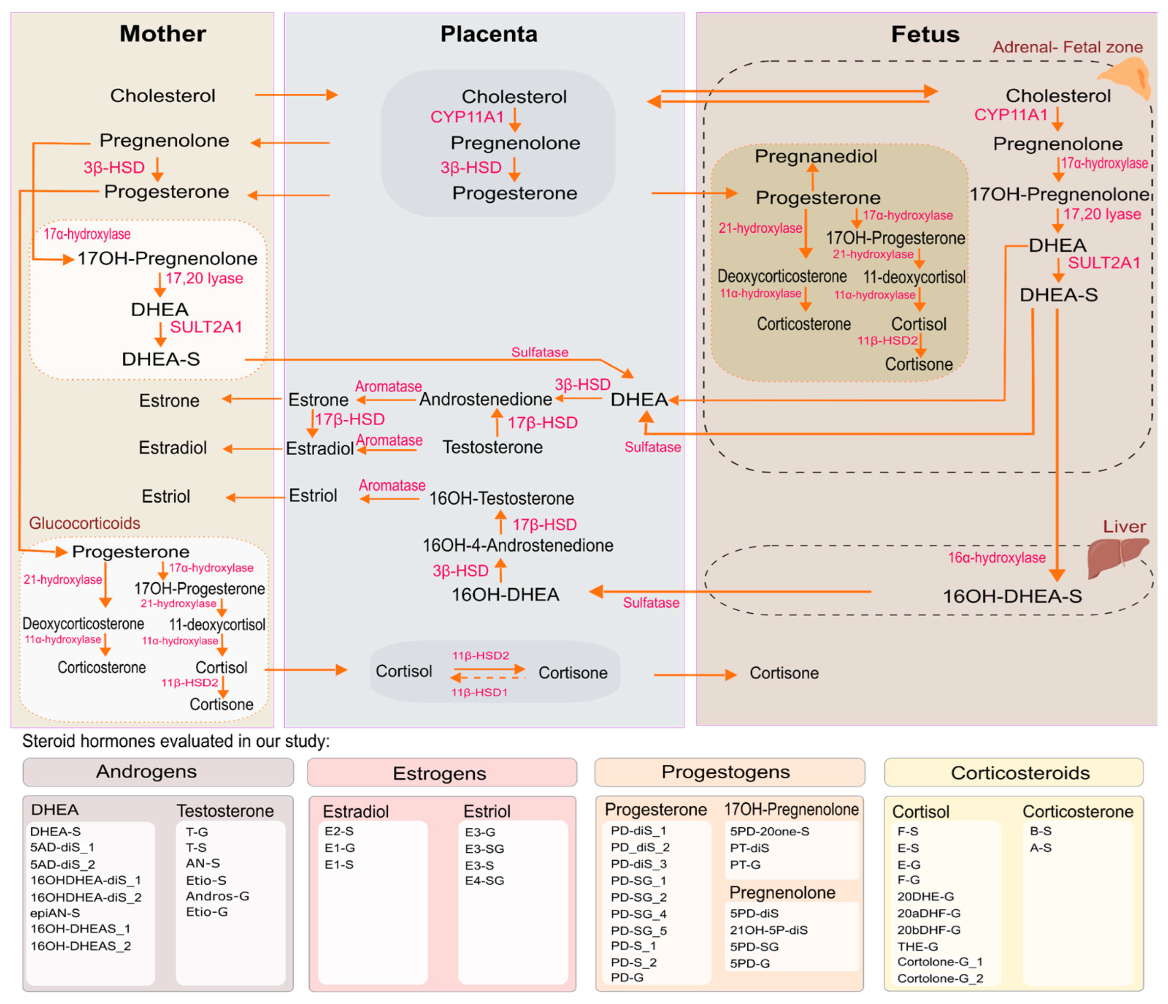 Preprints 178936 g001