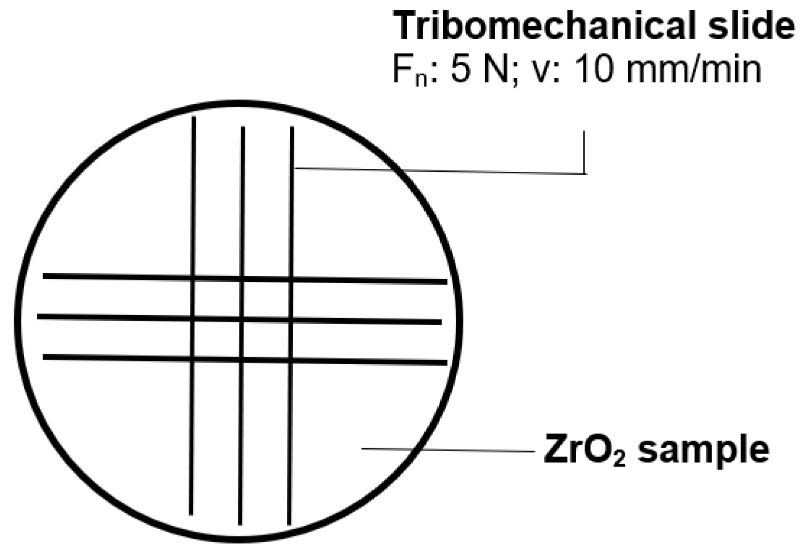 Preprints 197941 g001