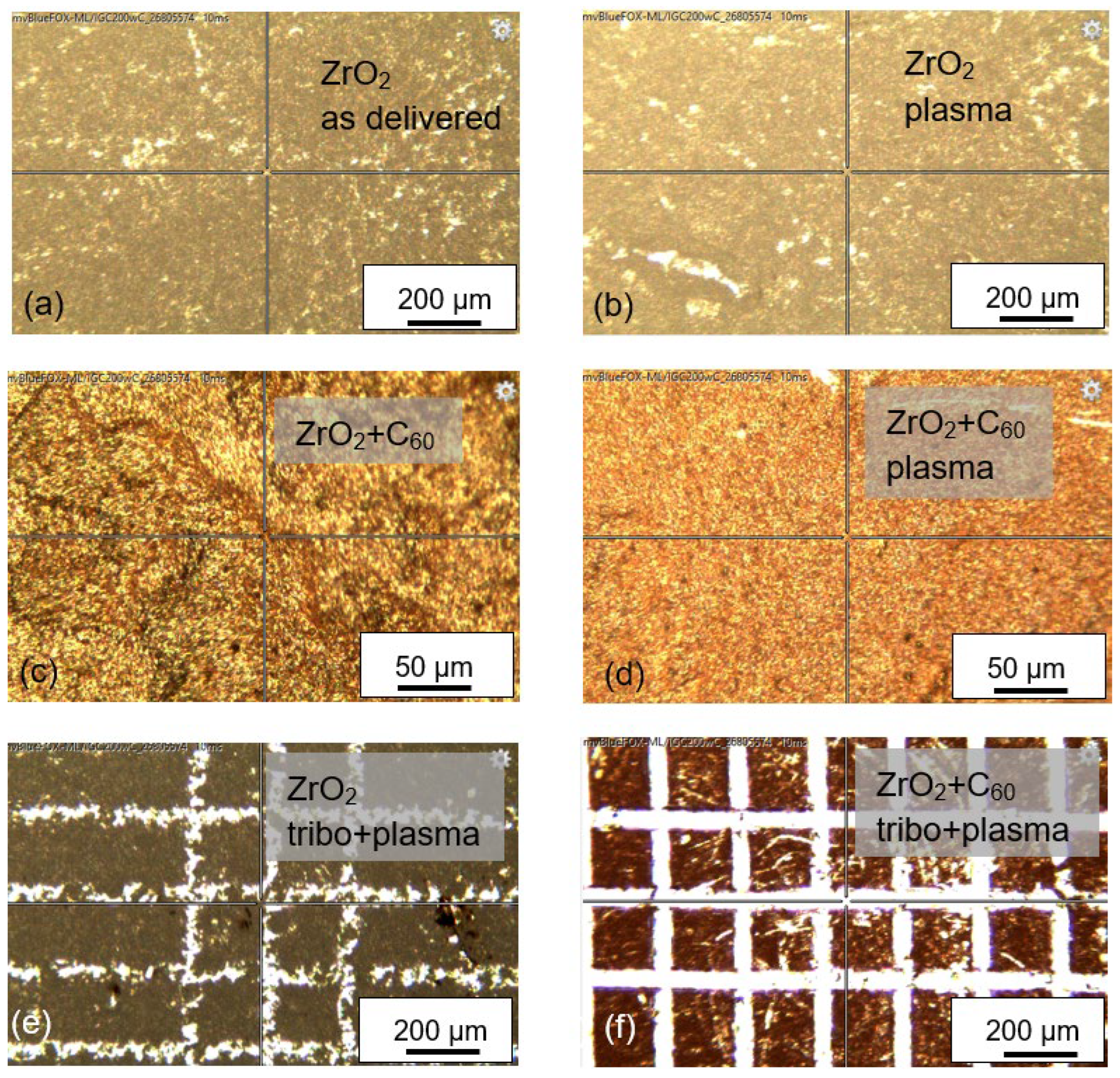 Preprints 197941 g002