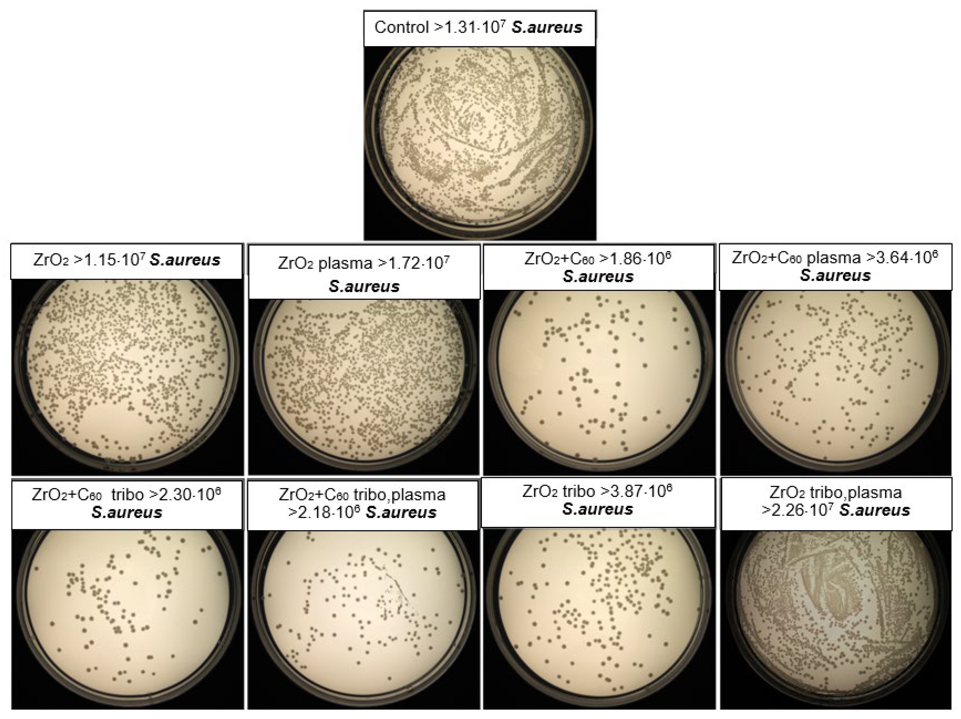 Preprints 197941 g009