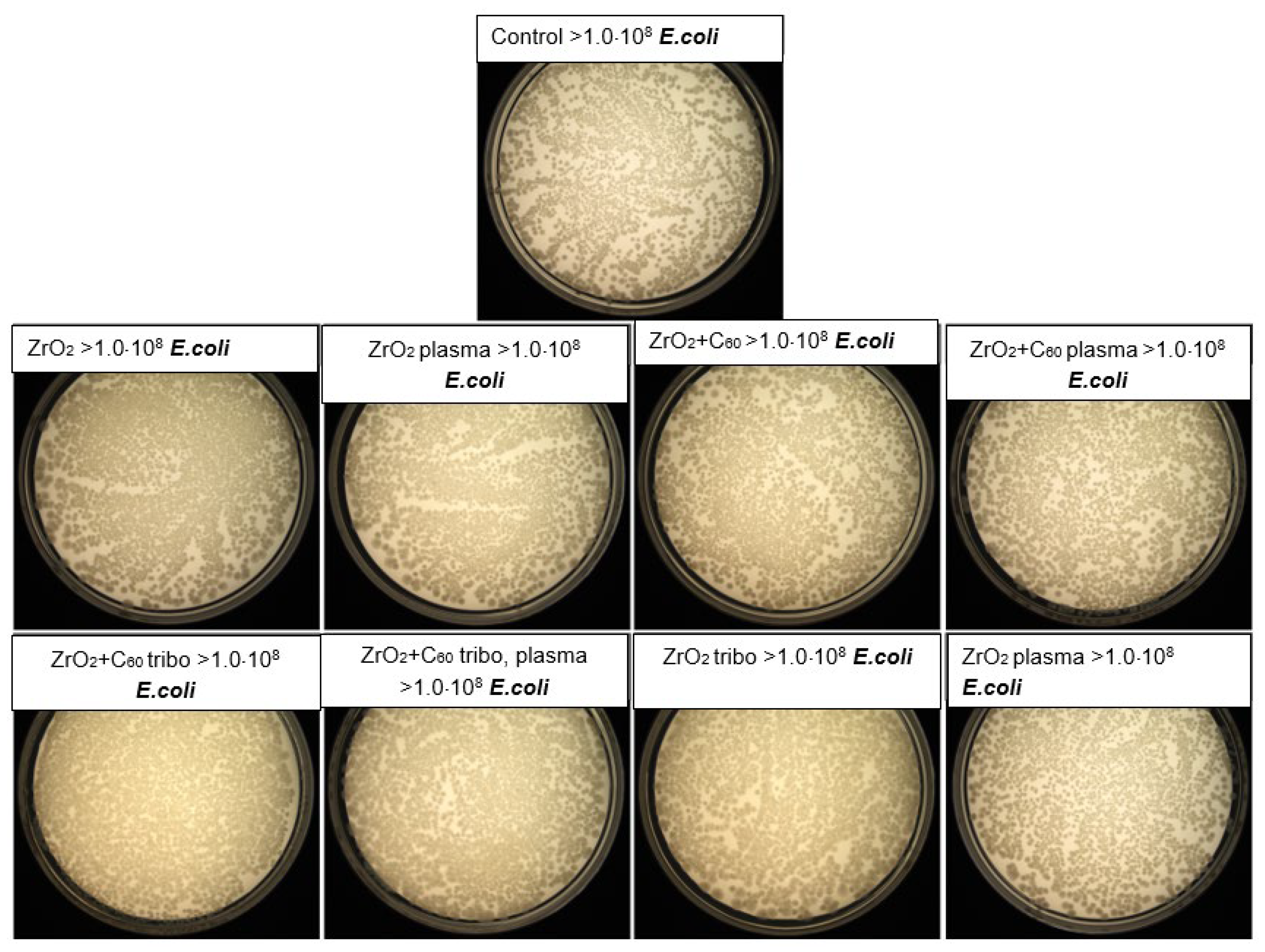 Preprints 197941 g010