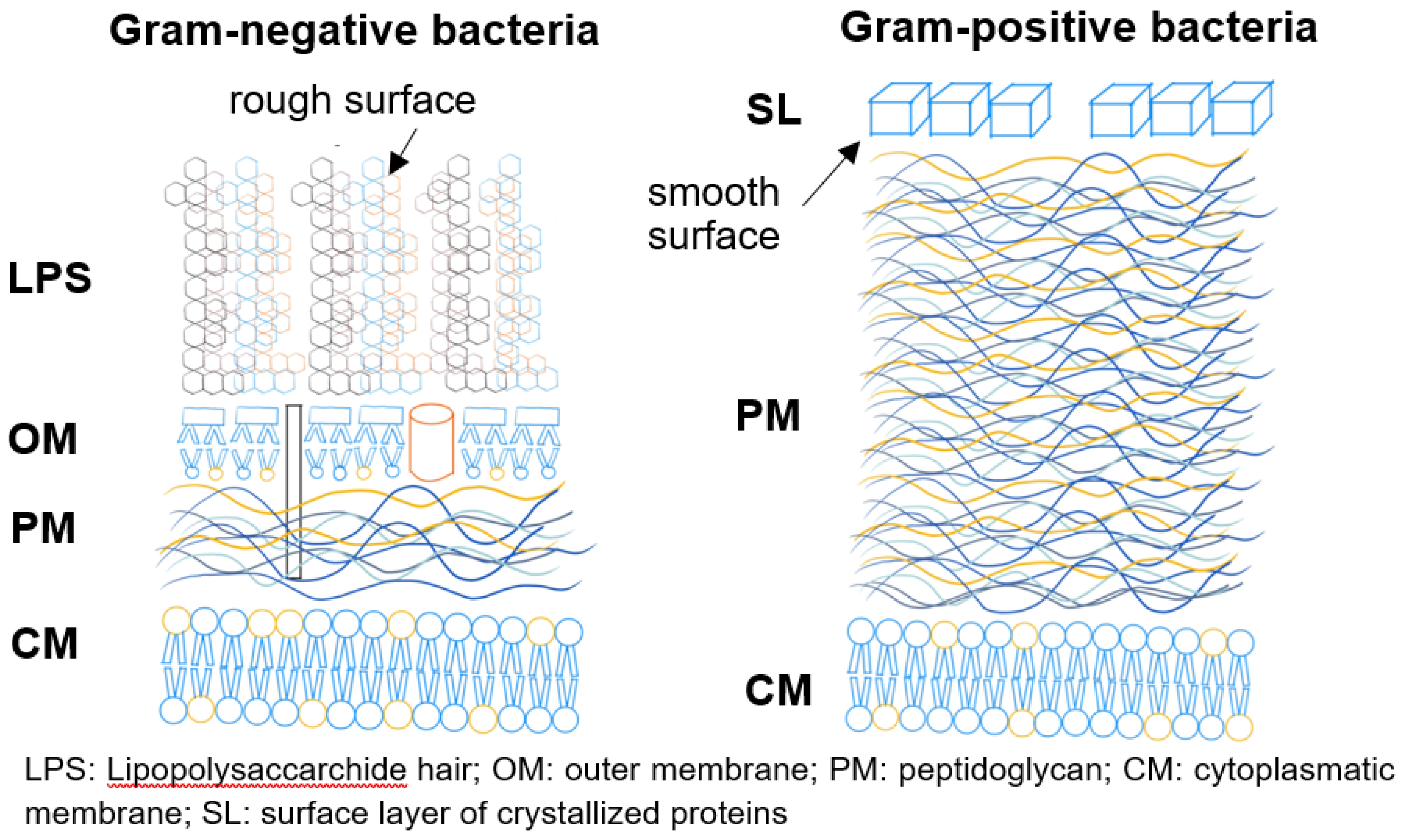 Preprints 197941 g012