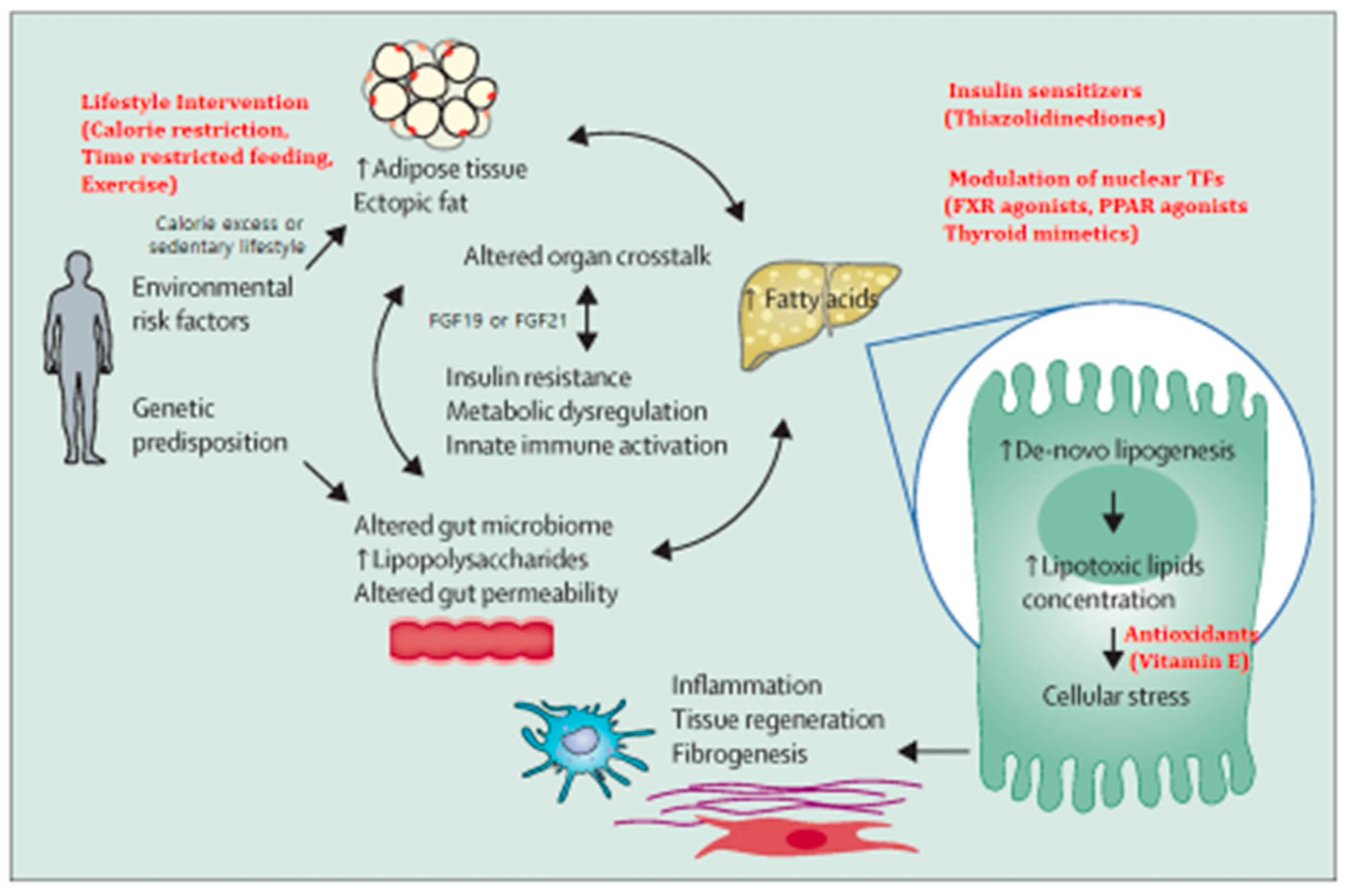 Preprints 149544 g001