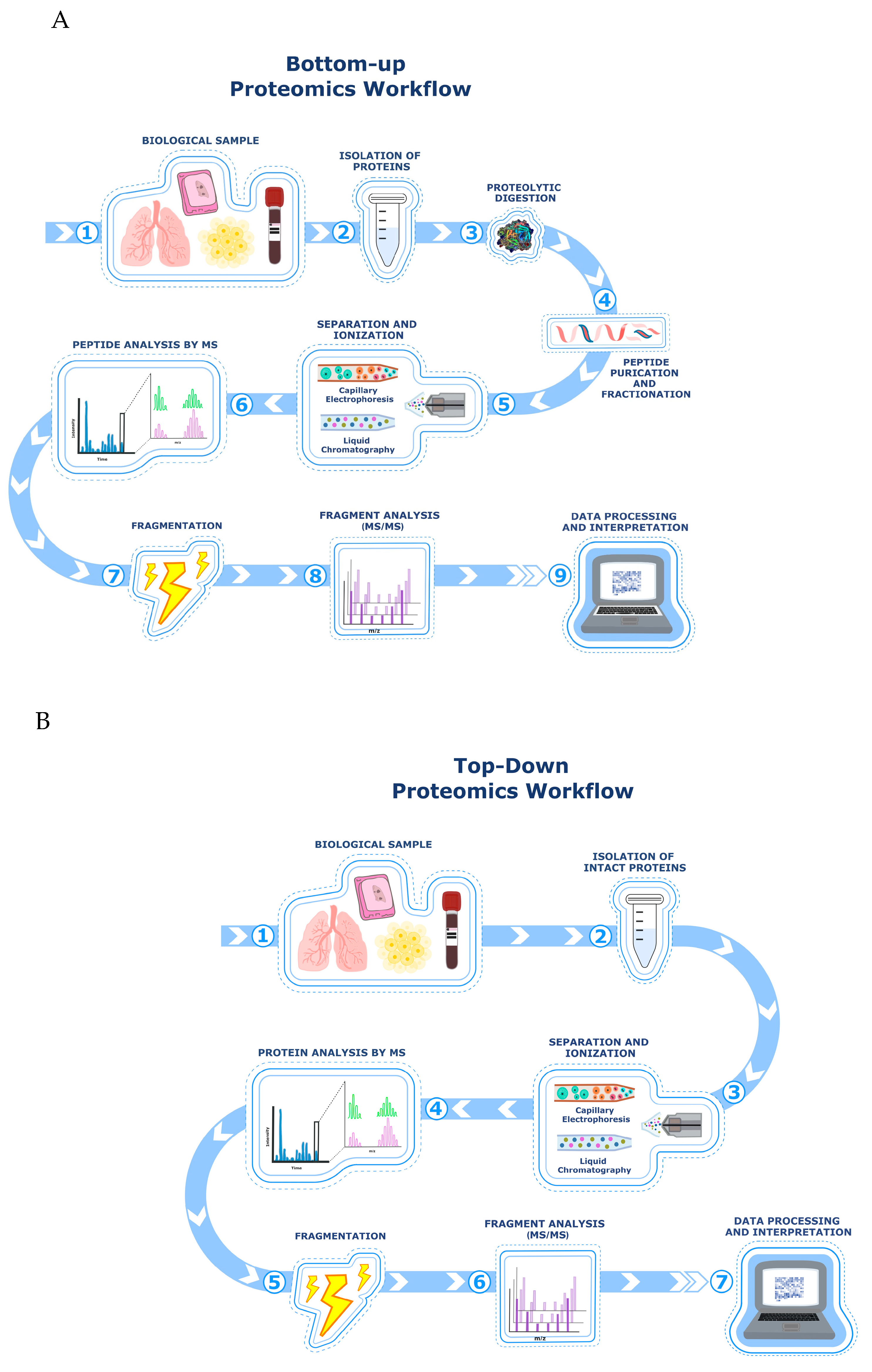 Preprints 176490 g001