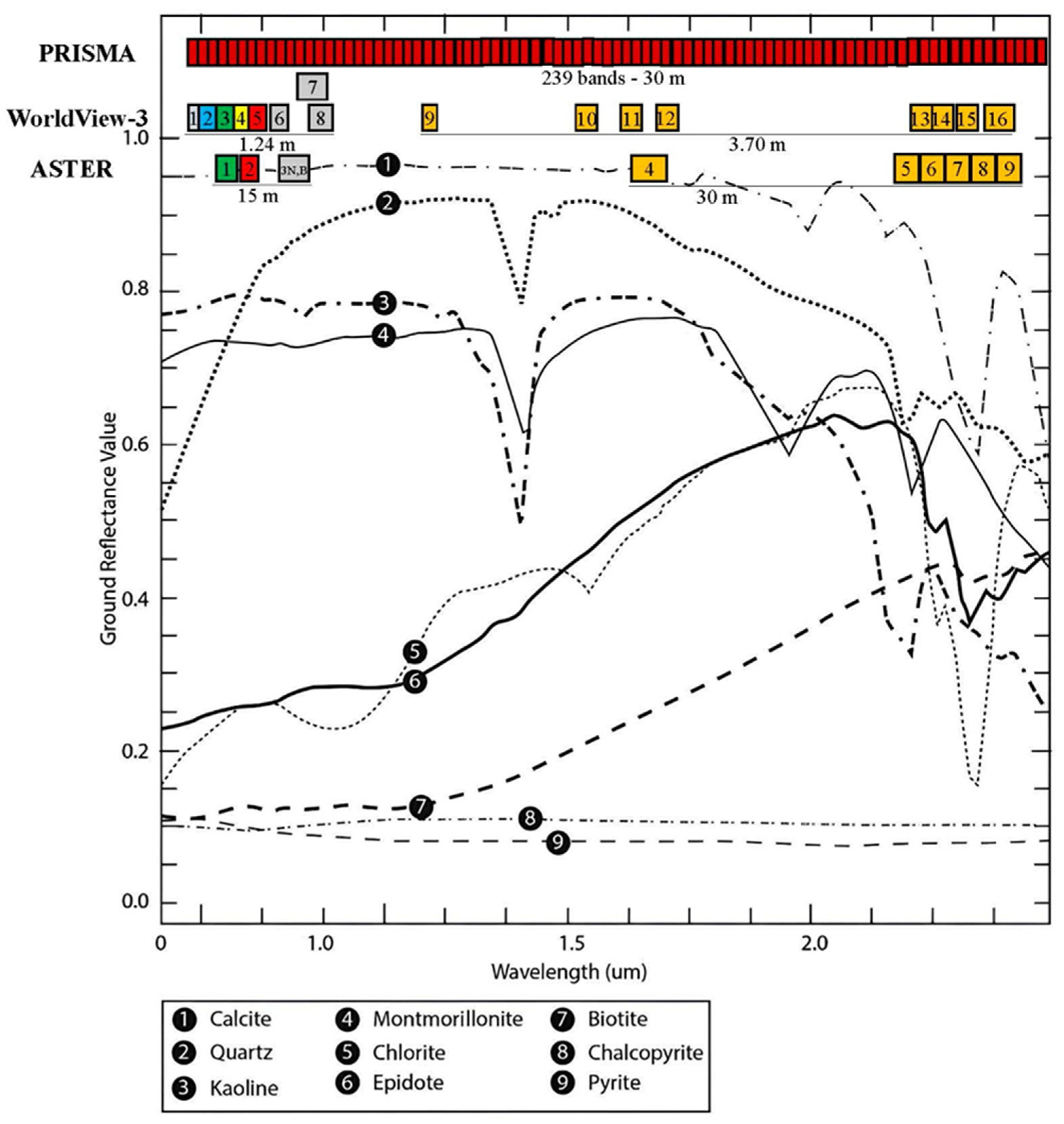 Preprints 164106 g002