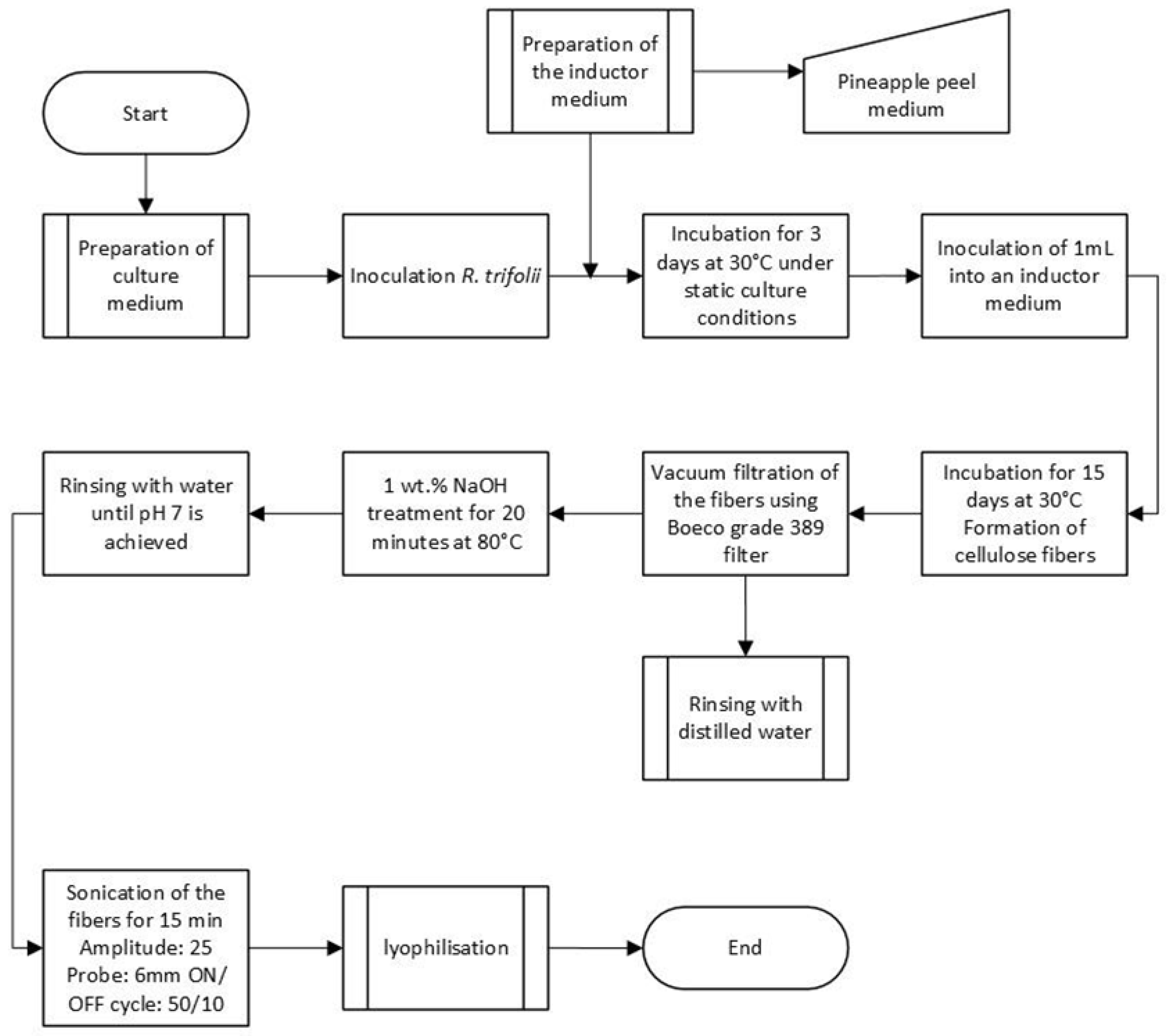 Preprints 160825 g002