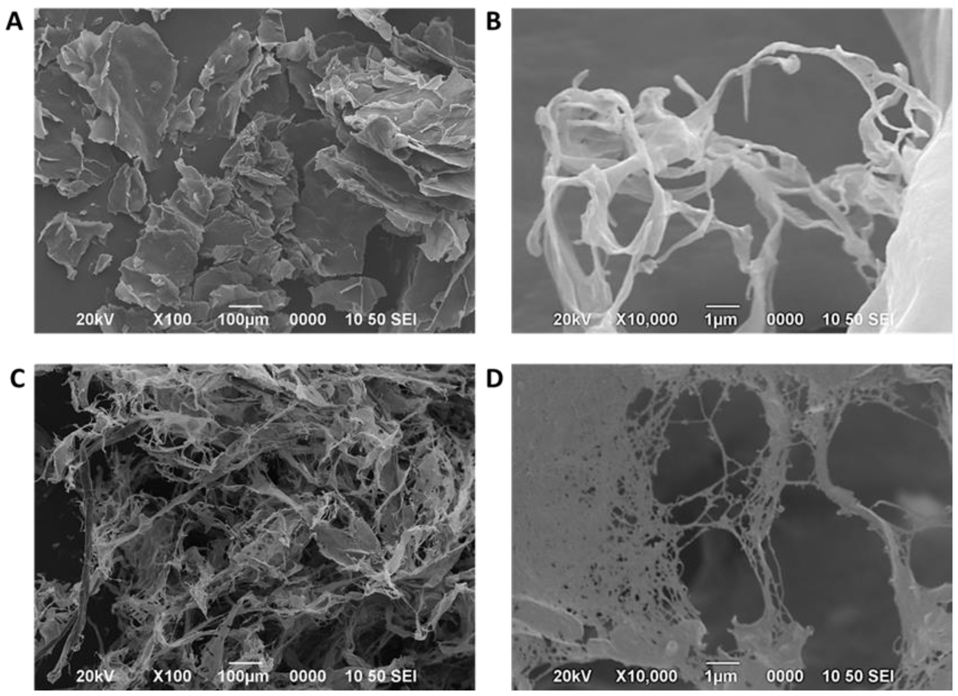 Preprints 160825 g004
