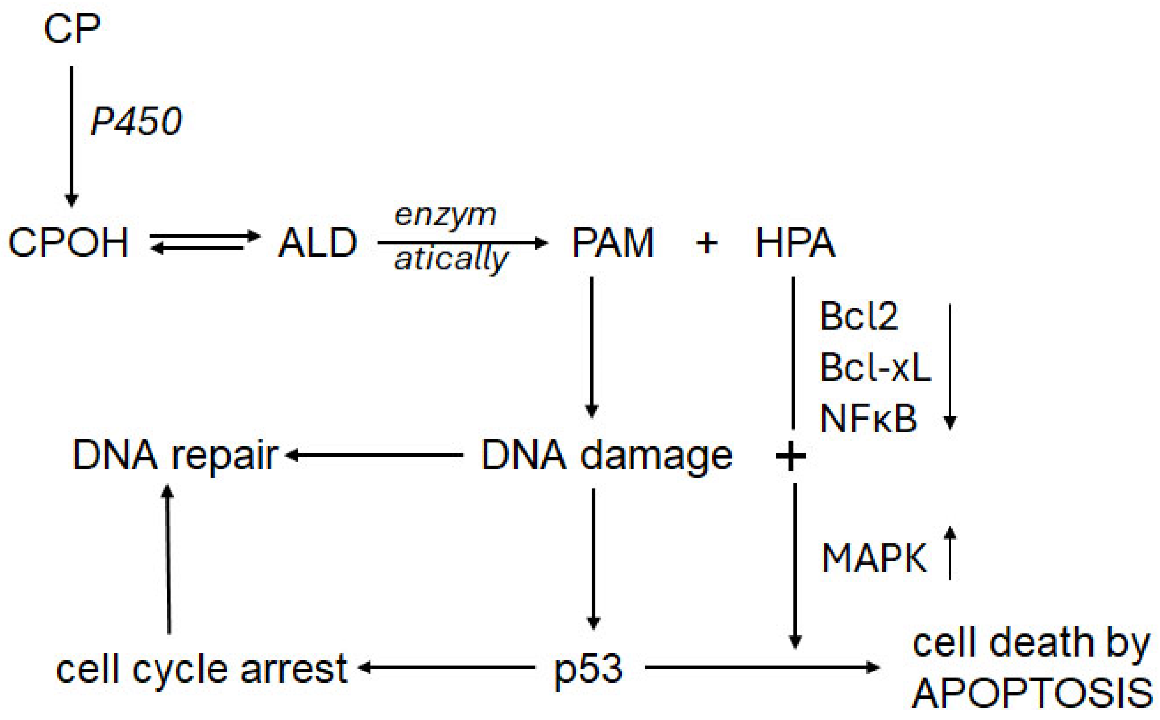 Preprints 179089 g003