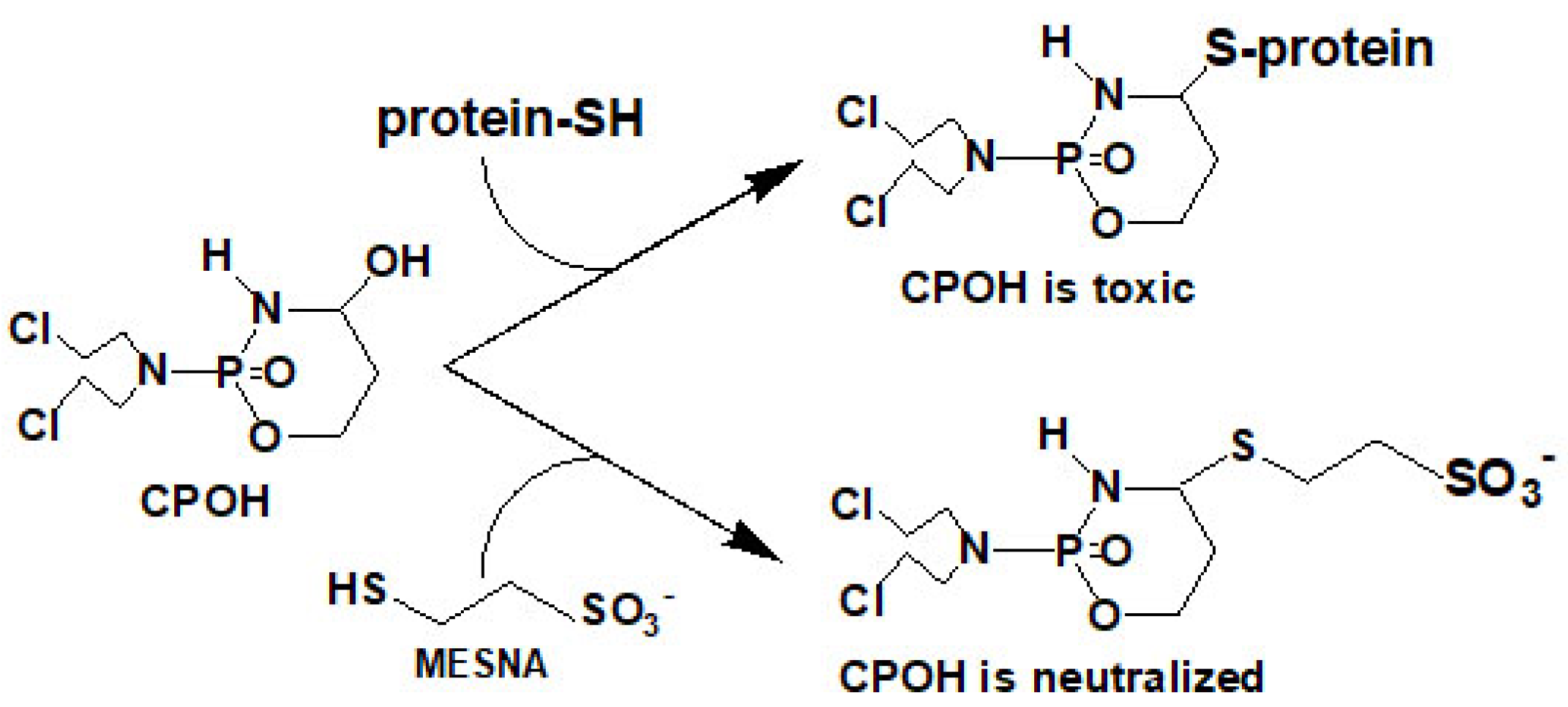 Preprints 179089 g004