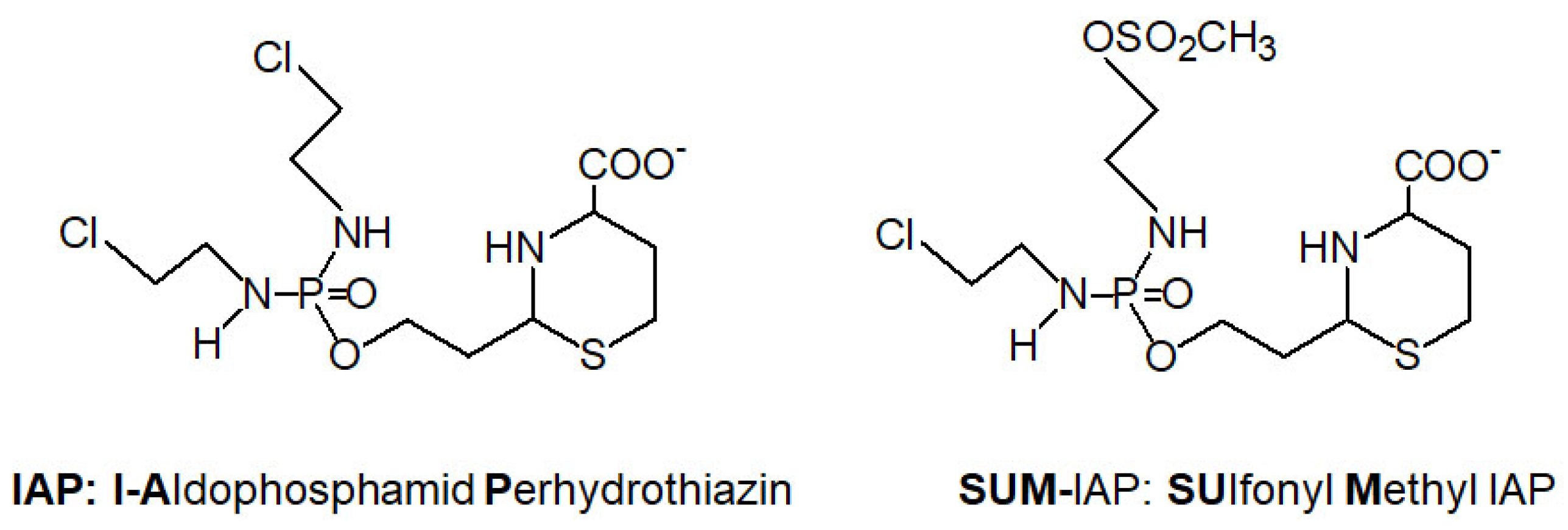 Preprints 179089 g006