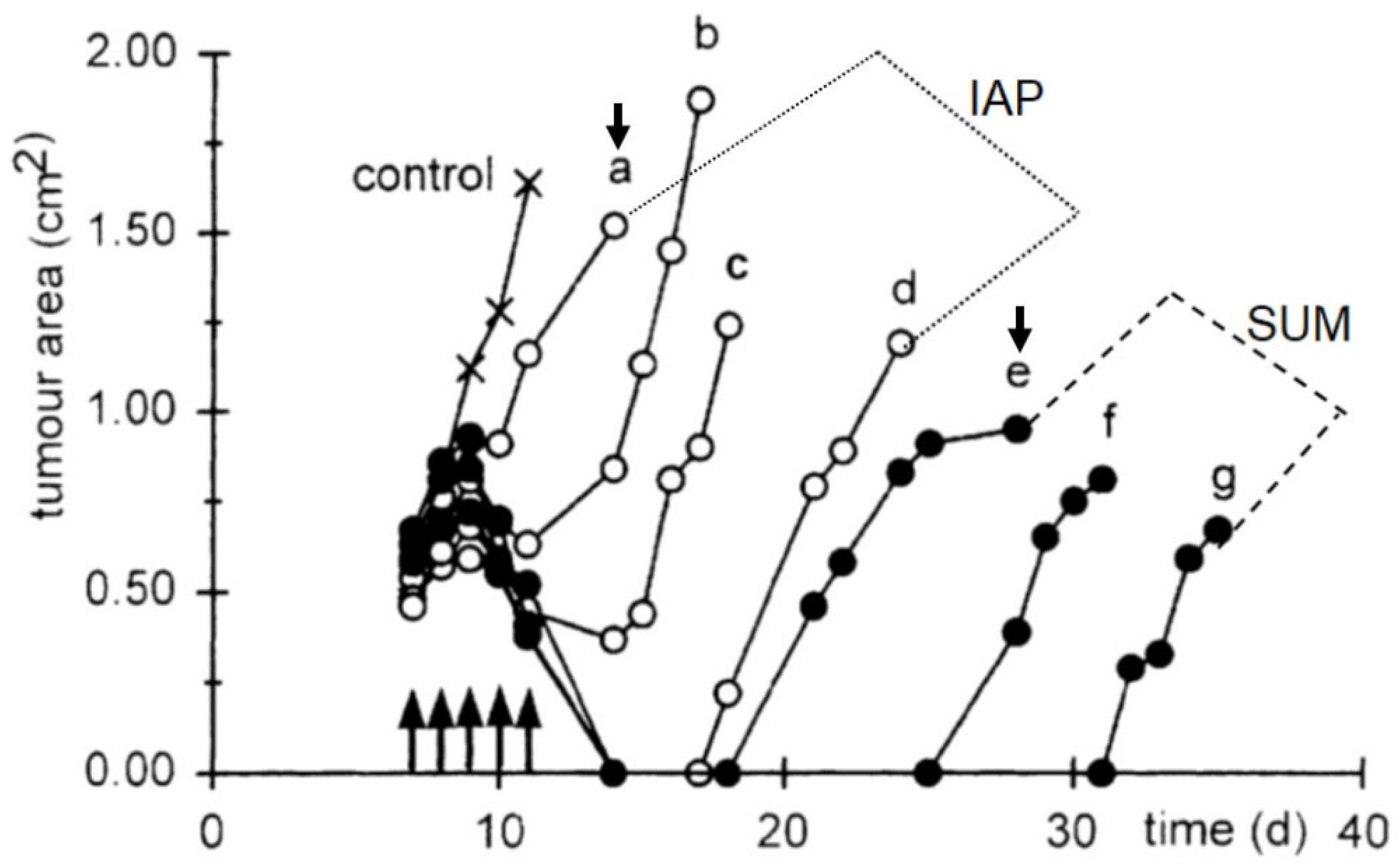Preprints 179089 g007