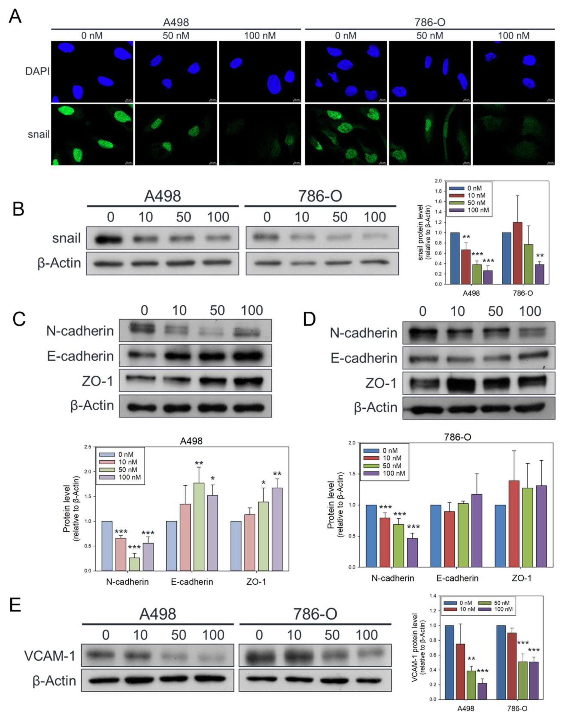 Preprints 177543 g004
