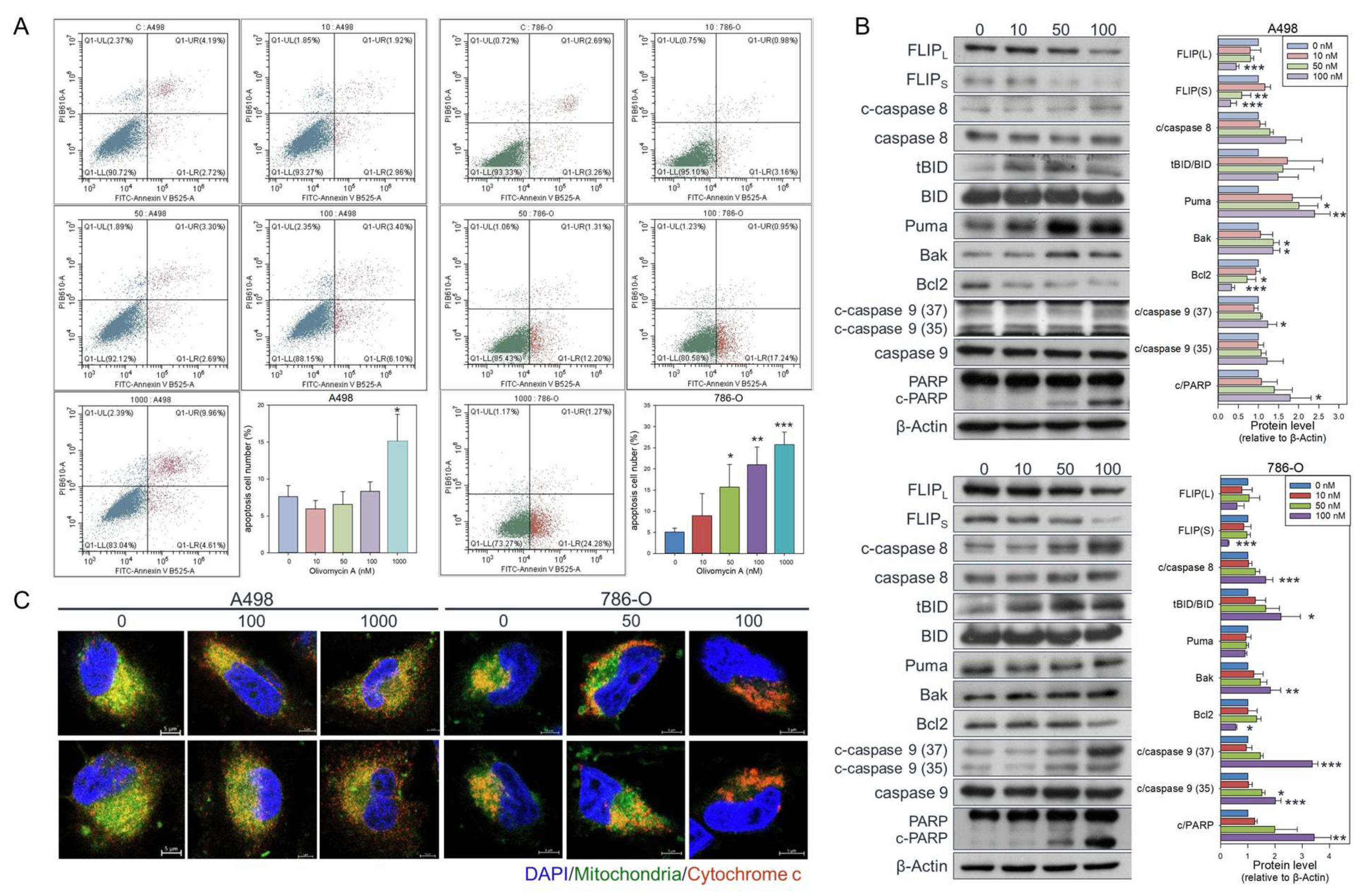 Preprints 177543 g005