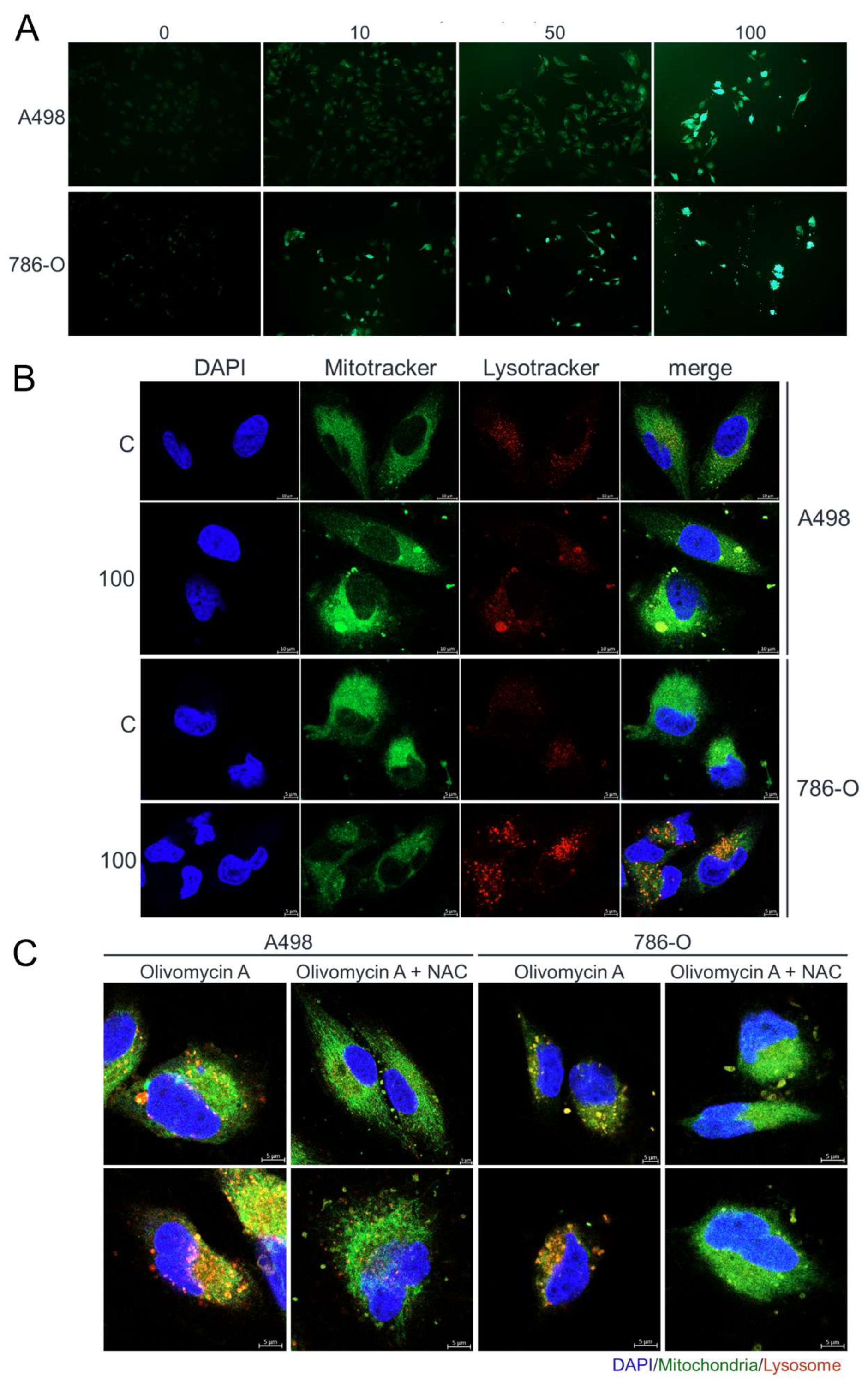 Preprints 177543 g007