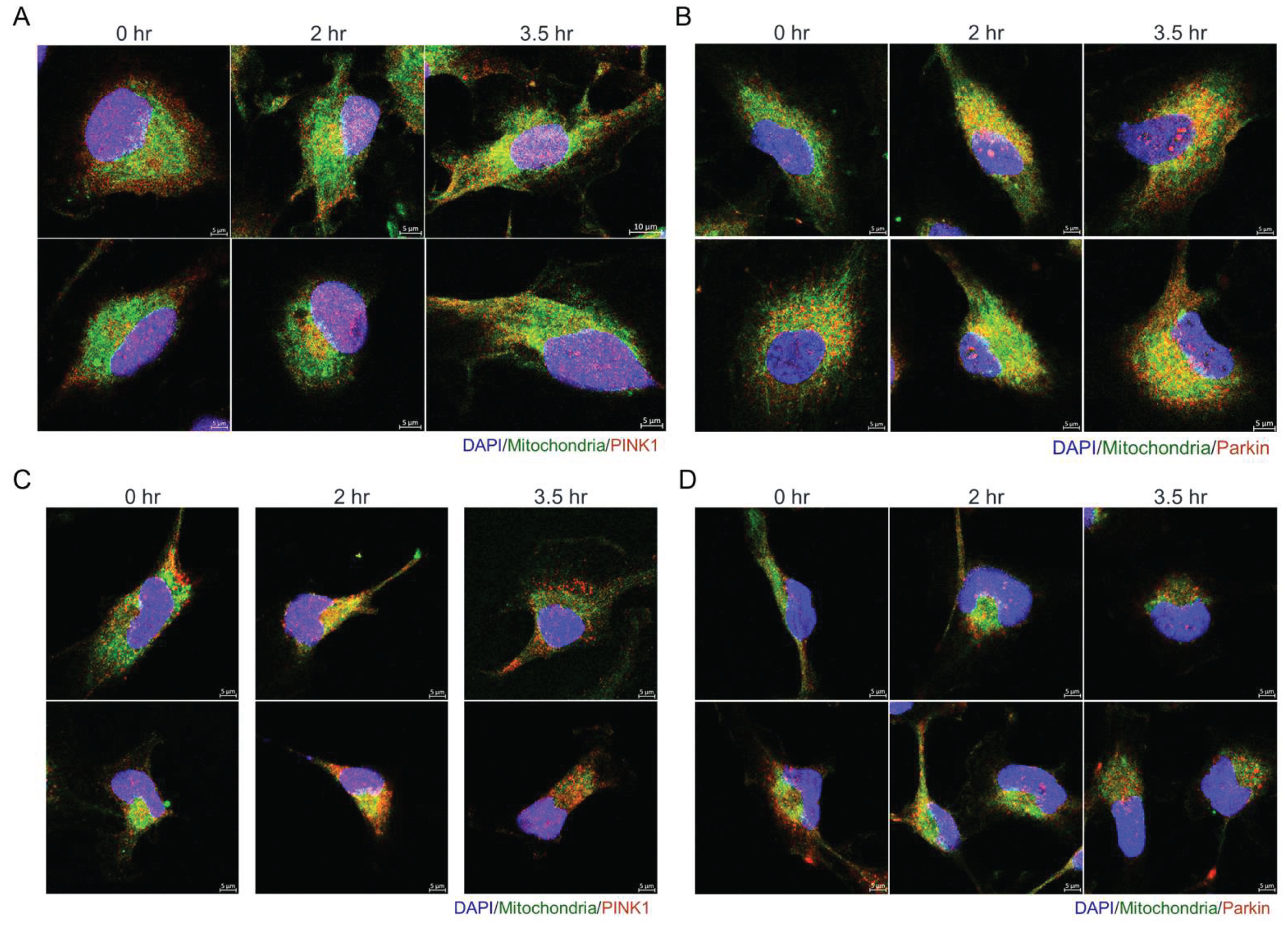 Preprints 177543 g008