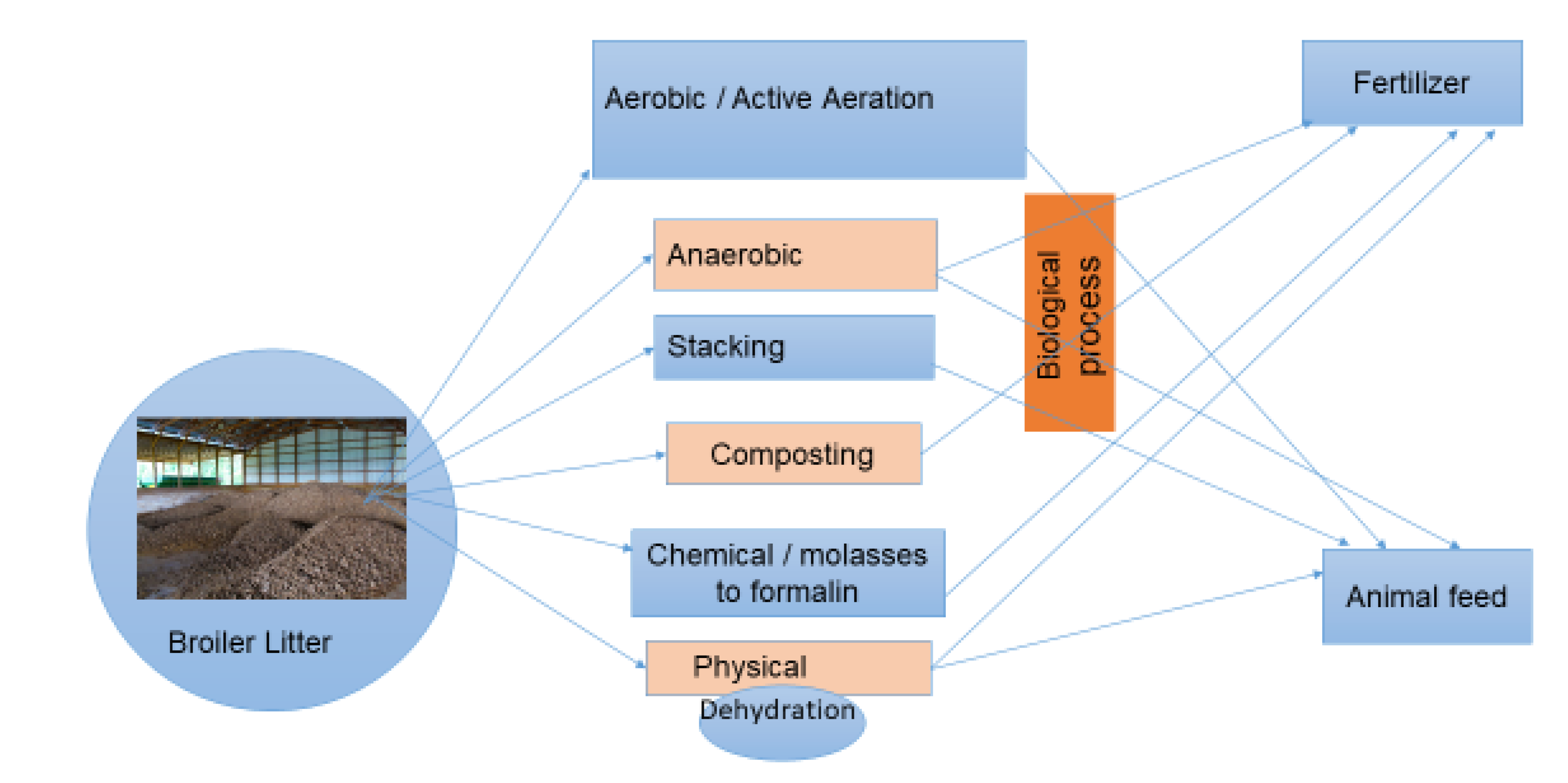 Preprints 75262 g001