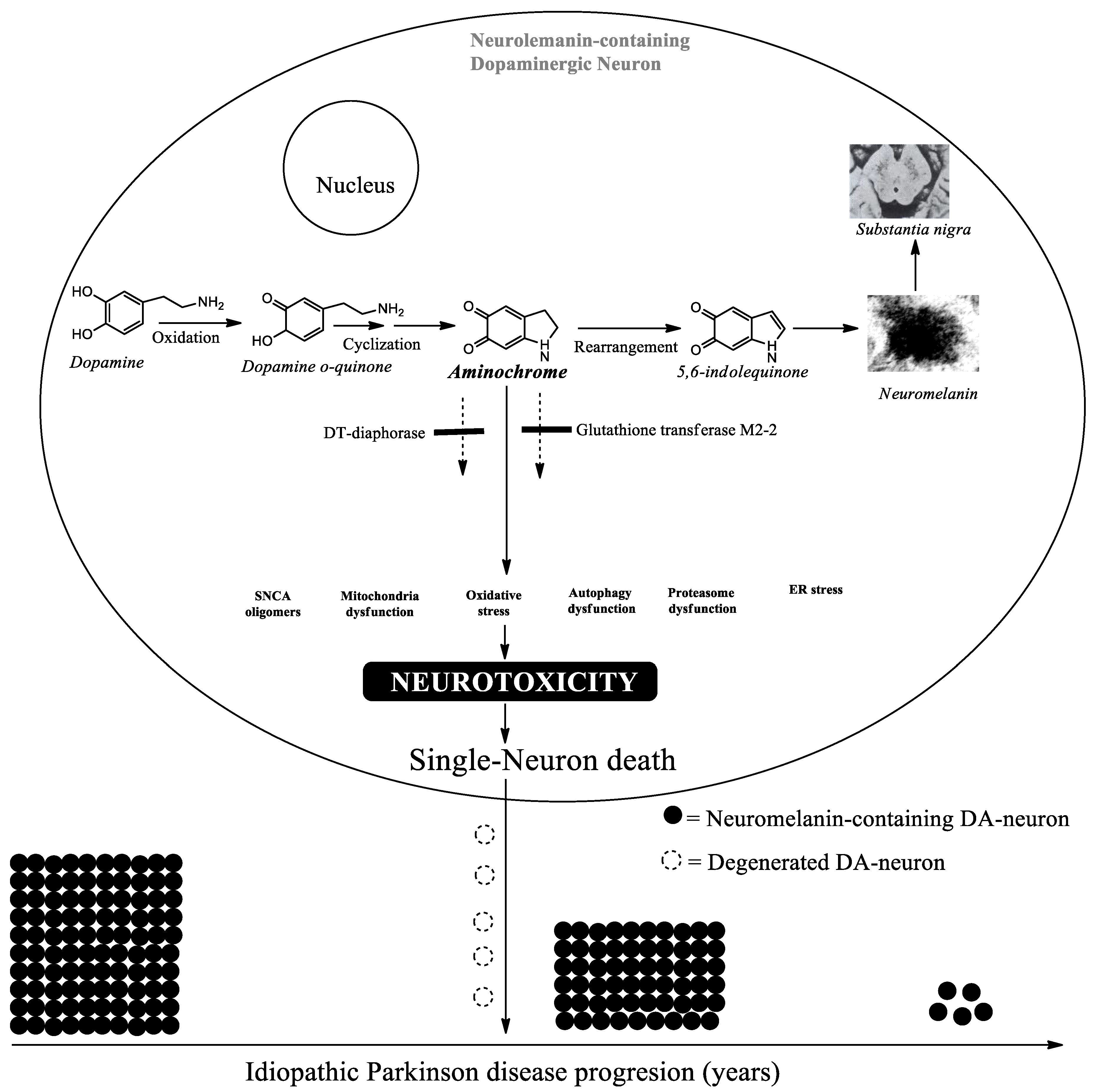 Preprints 237921 g001