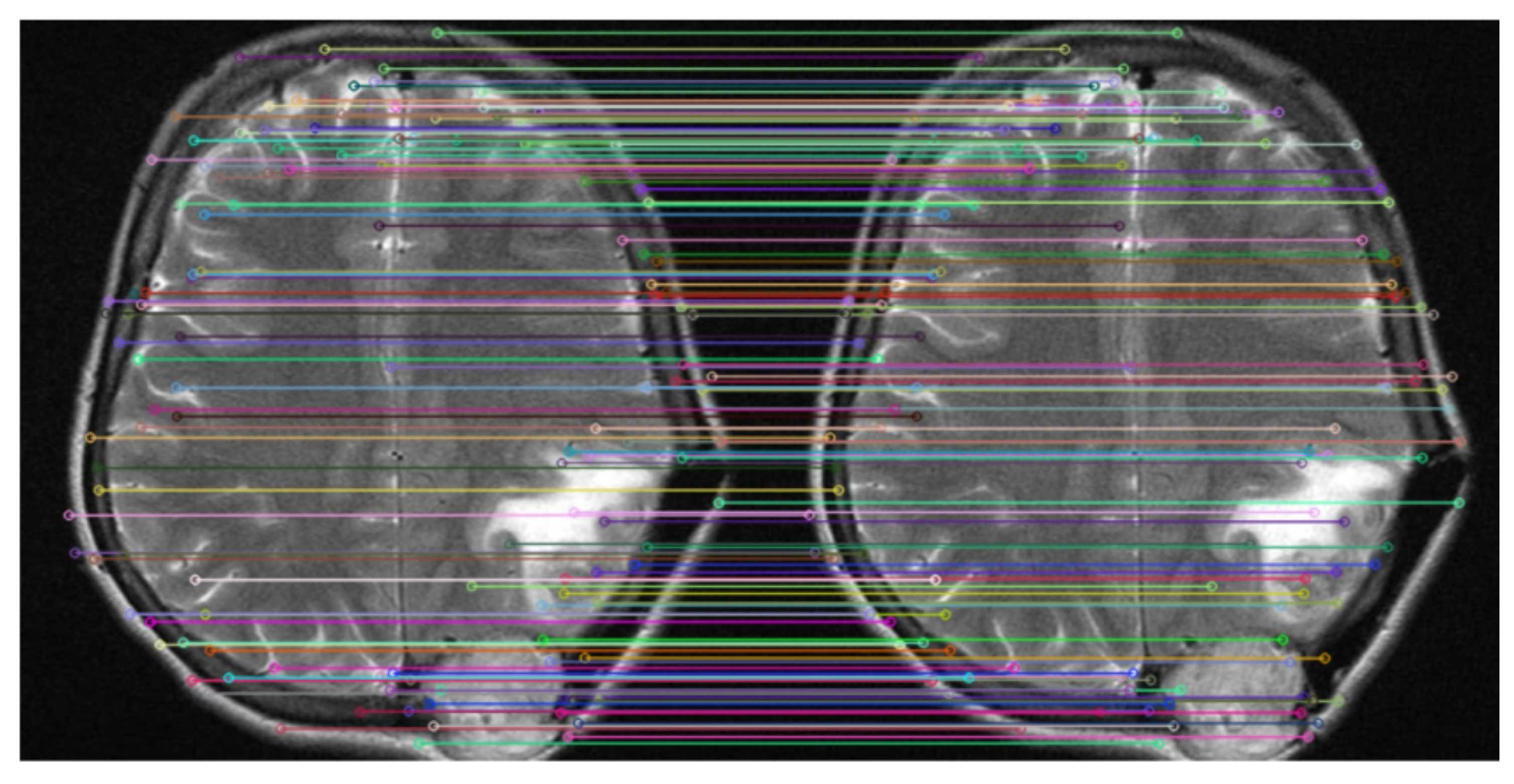 Preprints 140384 g009