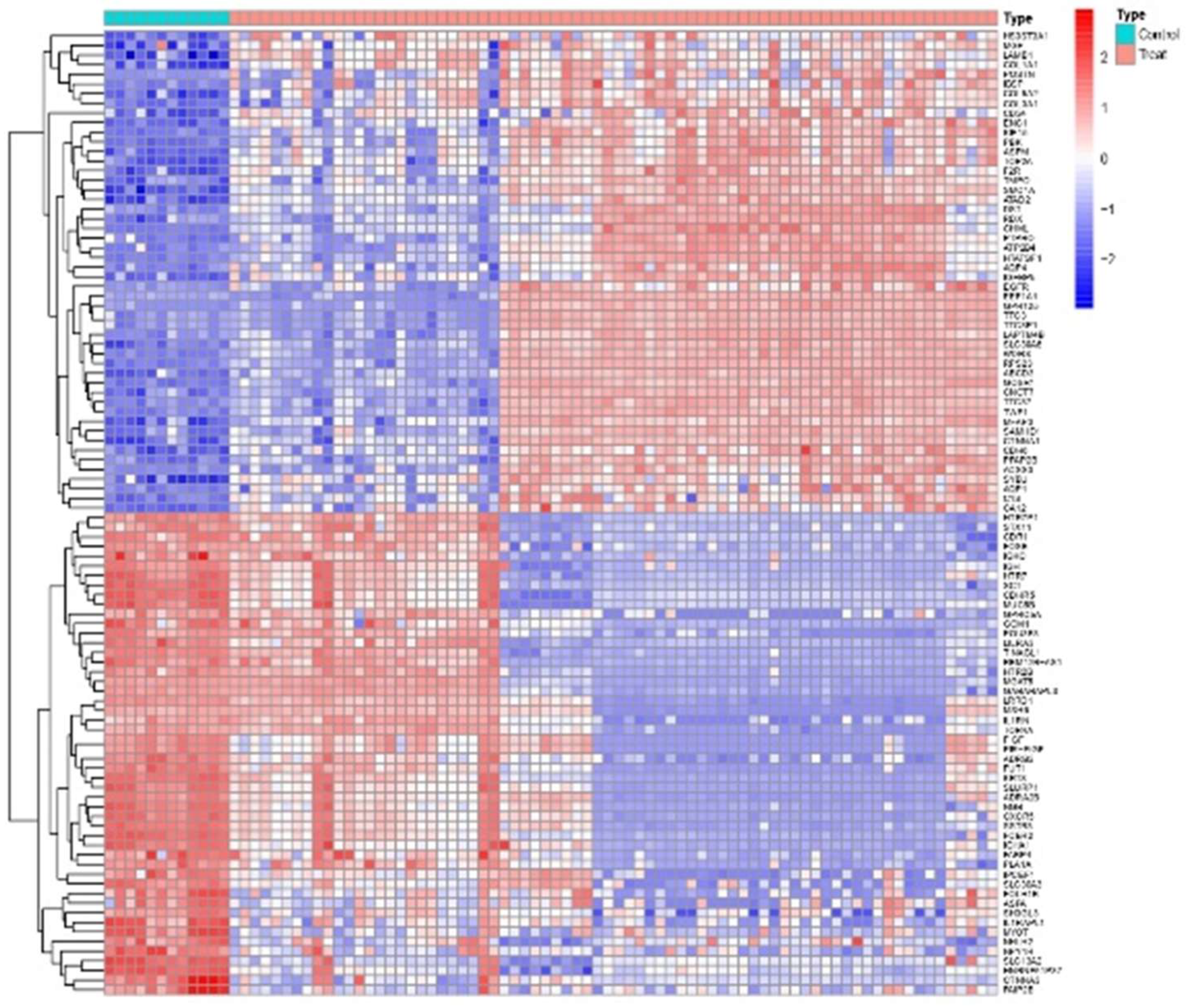 Preprints 137486 g001