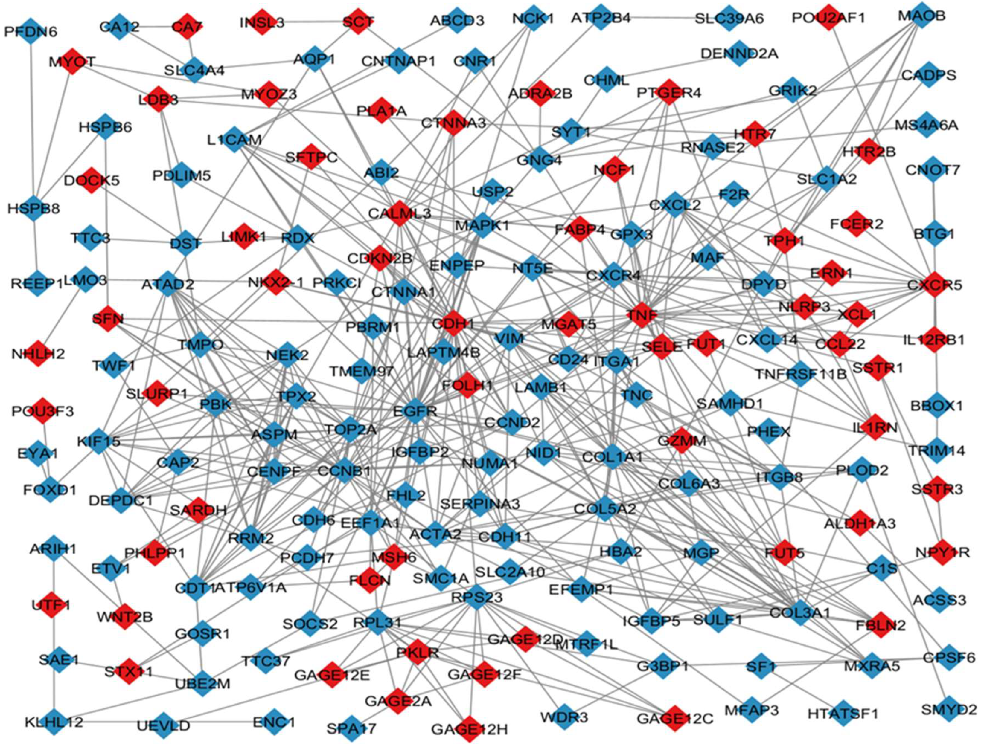 Preprints 137486 g002