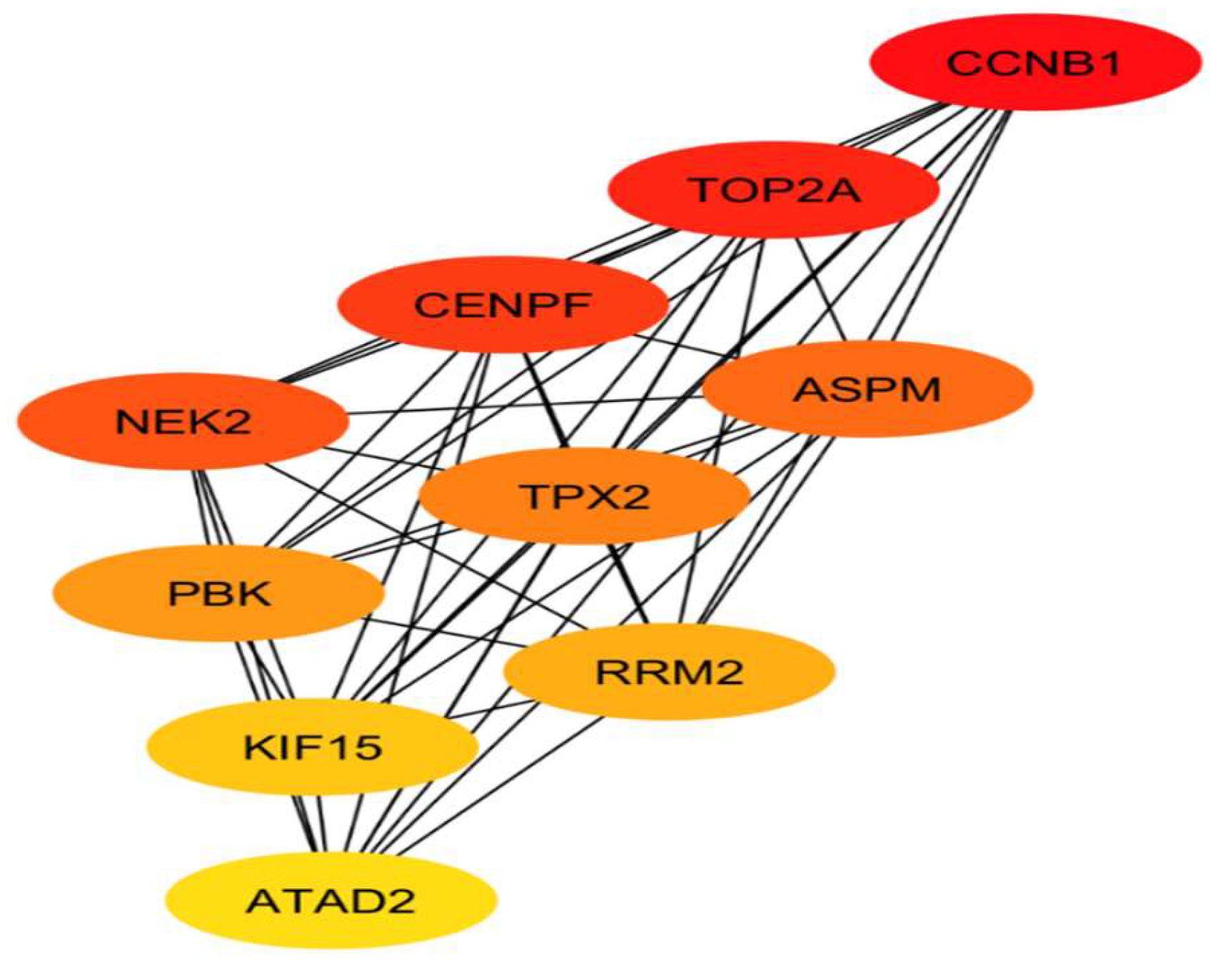Preprints 137486 g003