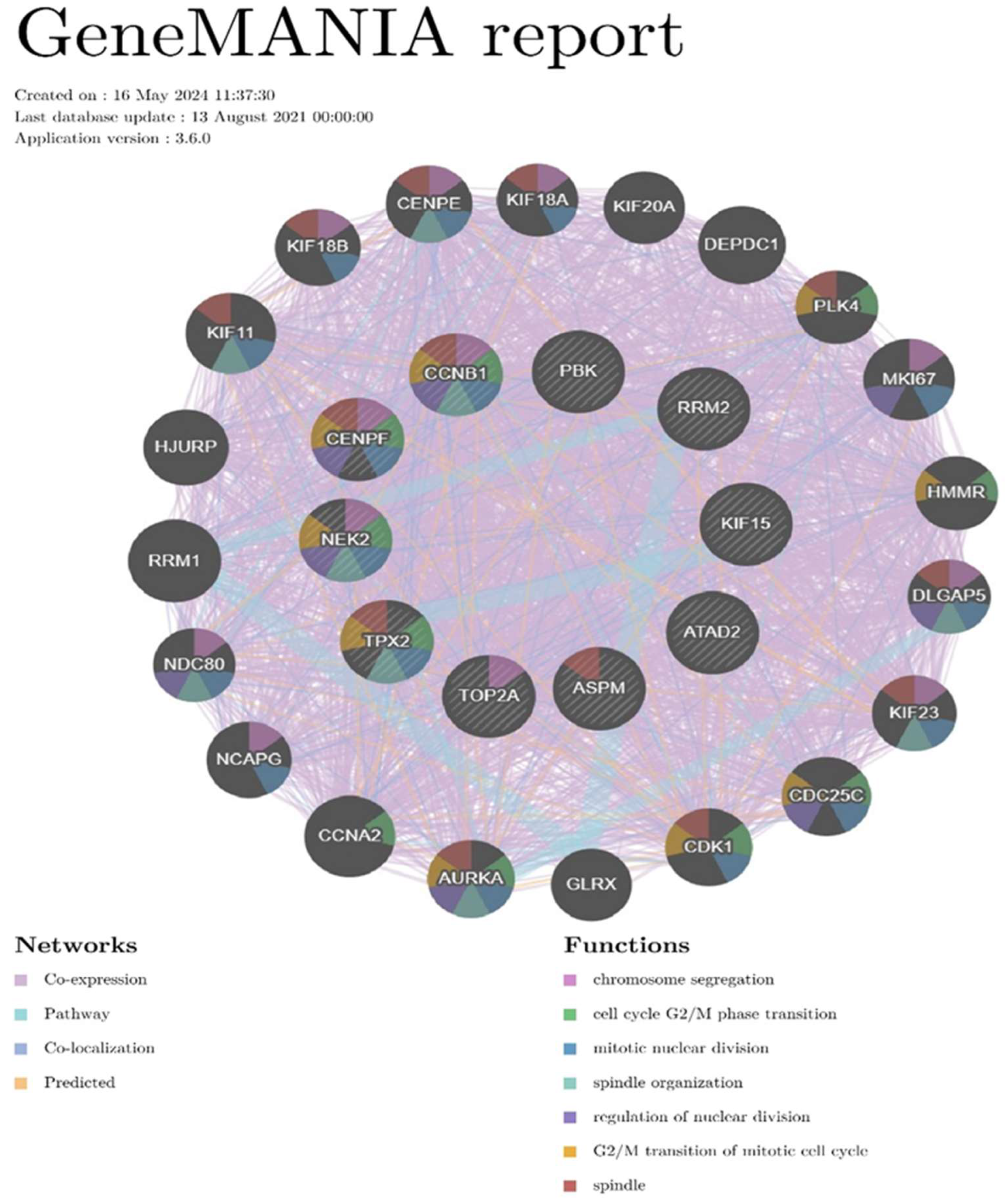 Preprints 137486 g004