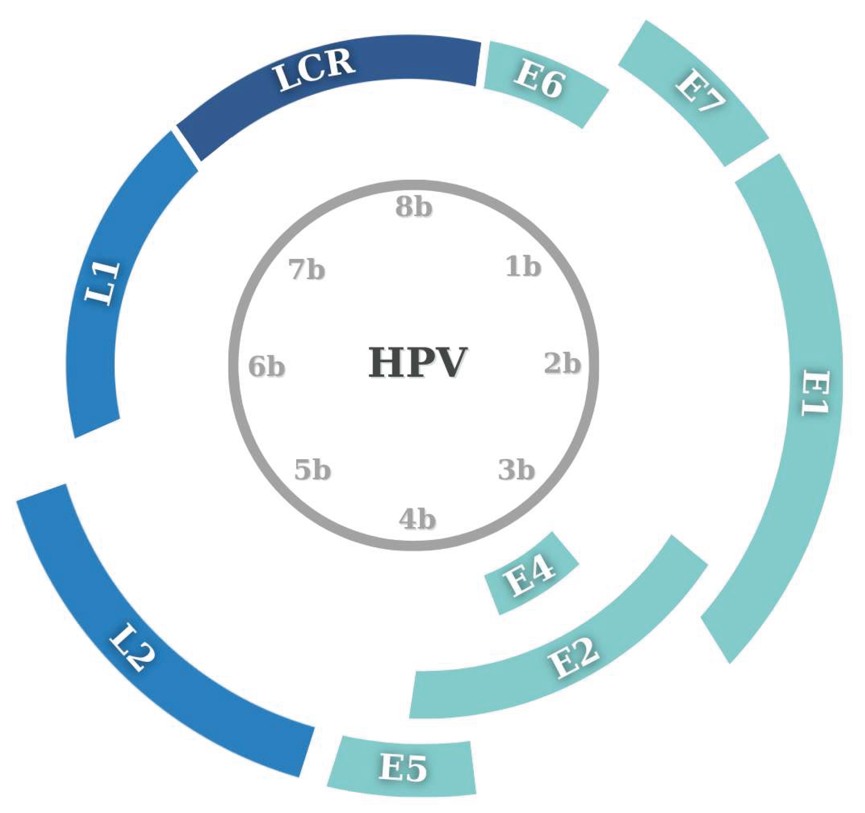 Preprints 168849 g001