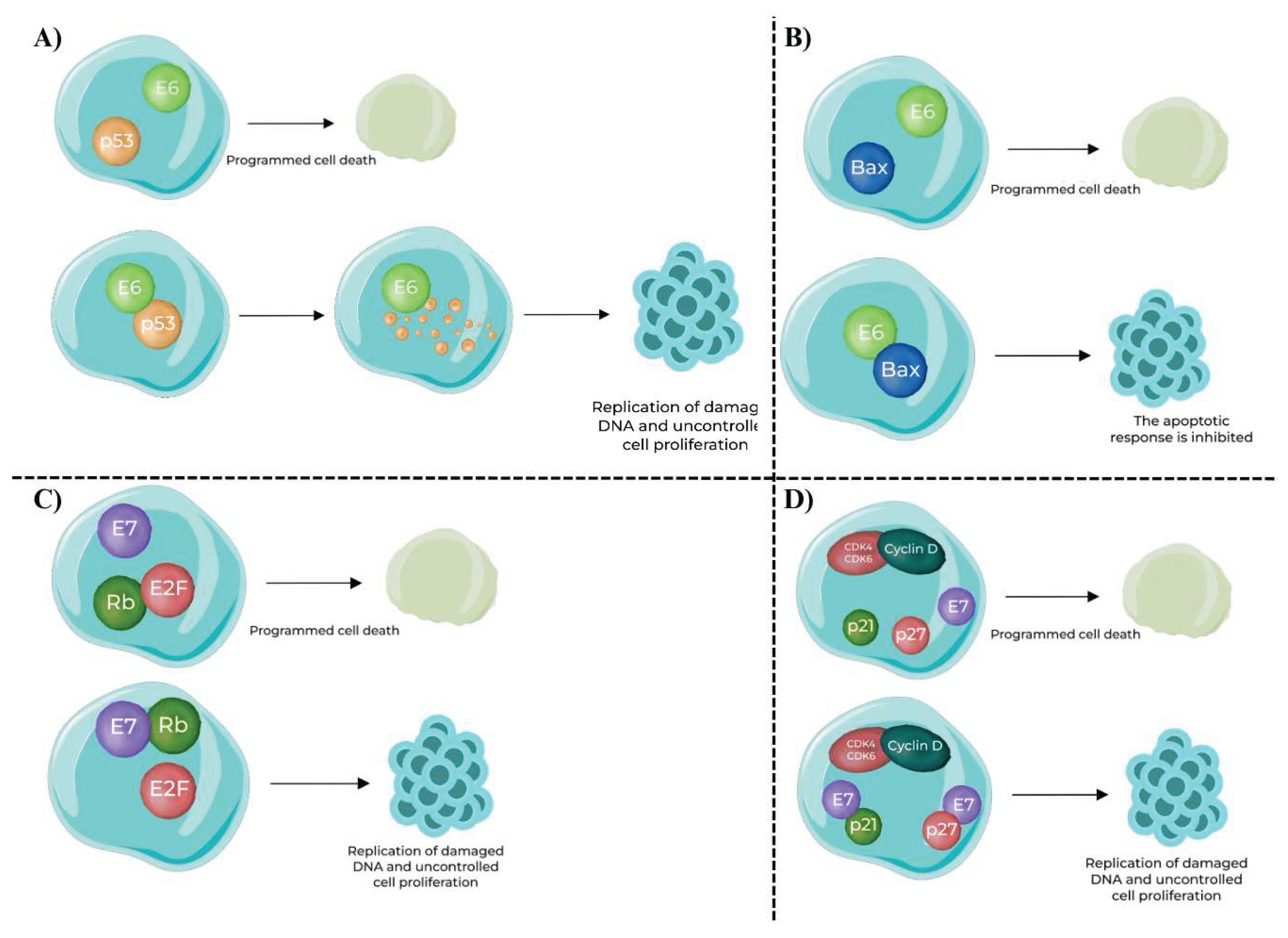 Preprints 168849 g002