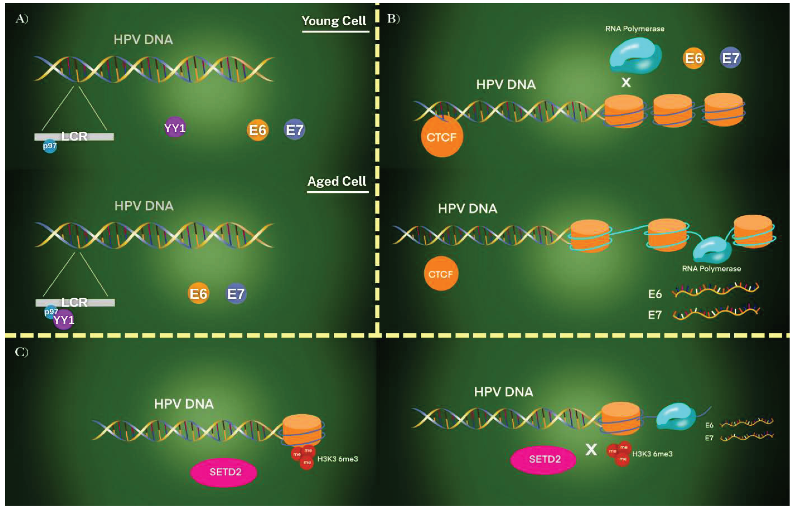 Preprints 168849 g003