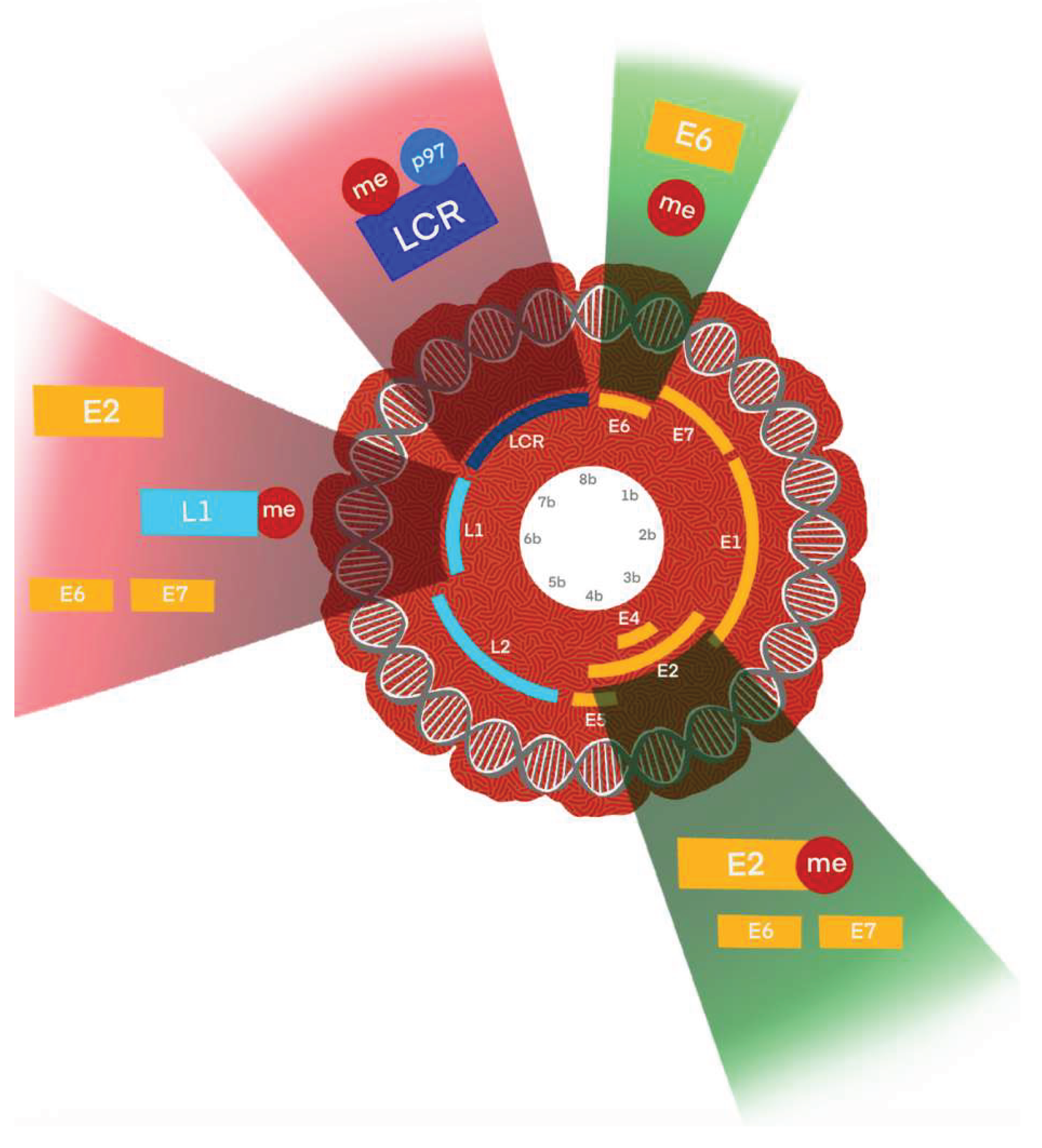 Preprints 168849 g004