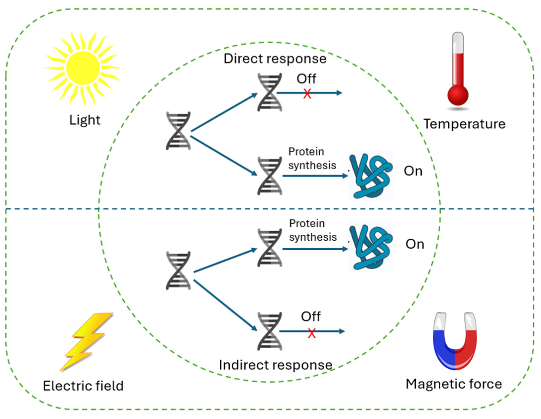 Preprints 148645 g005