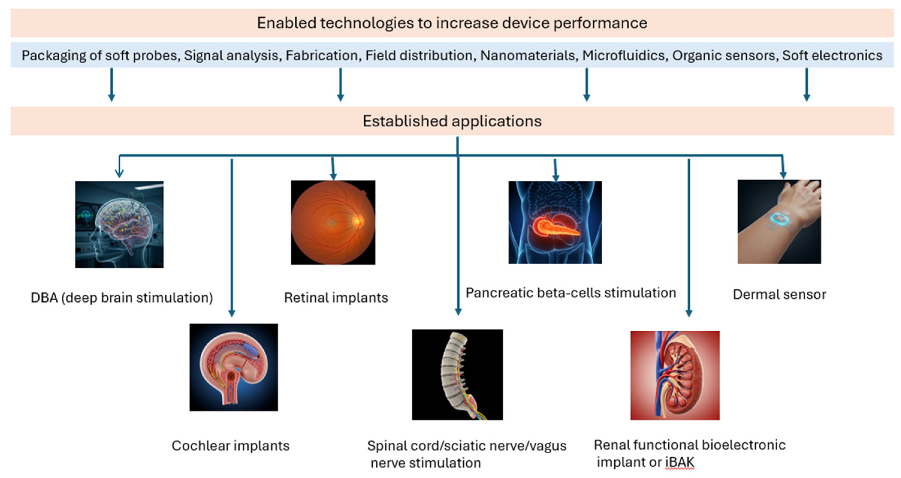 Preprints 148645 g006