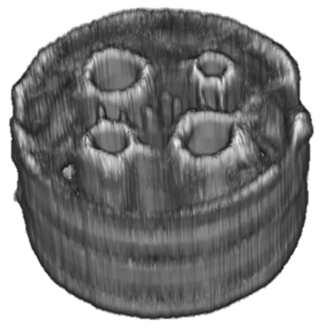 Preprints 91848 g011