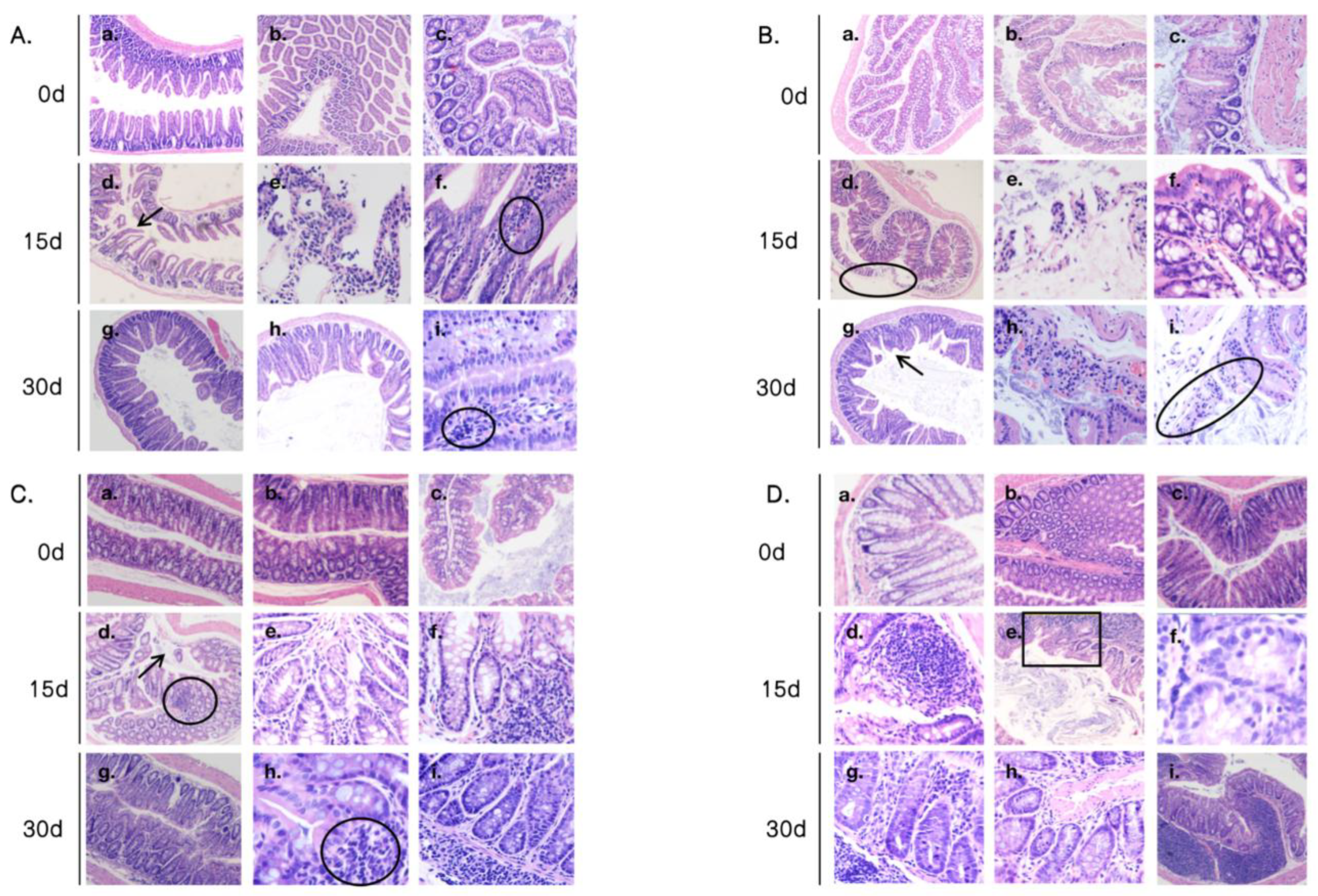 Preprints 152366 g001
