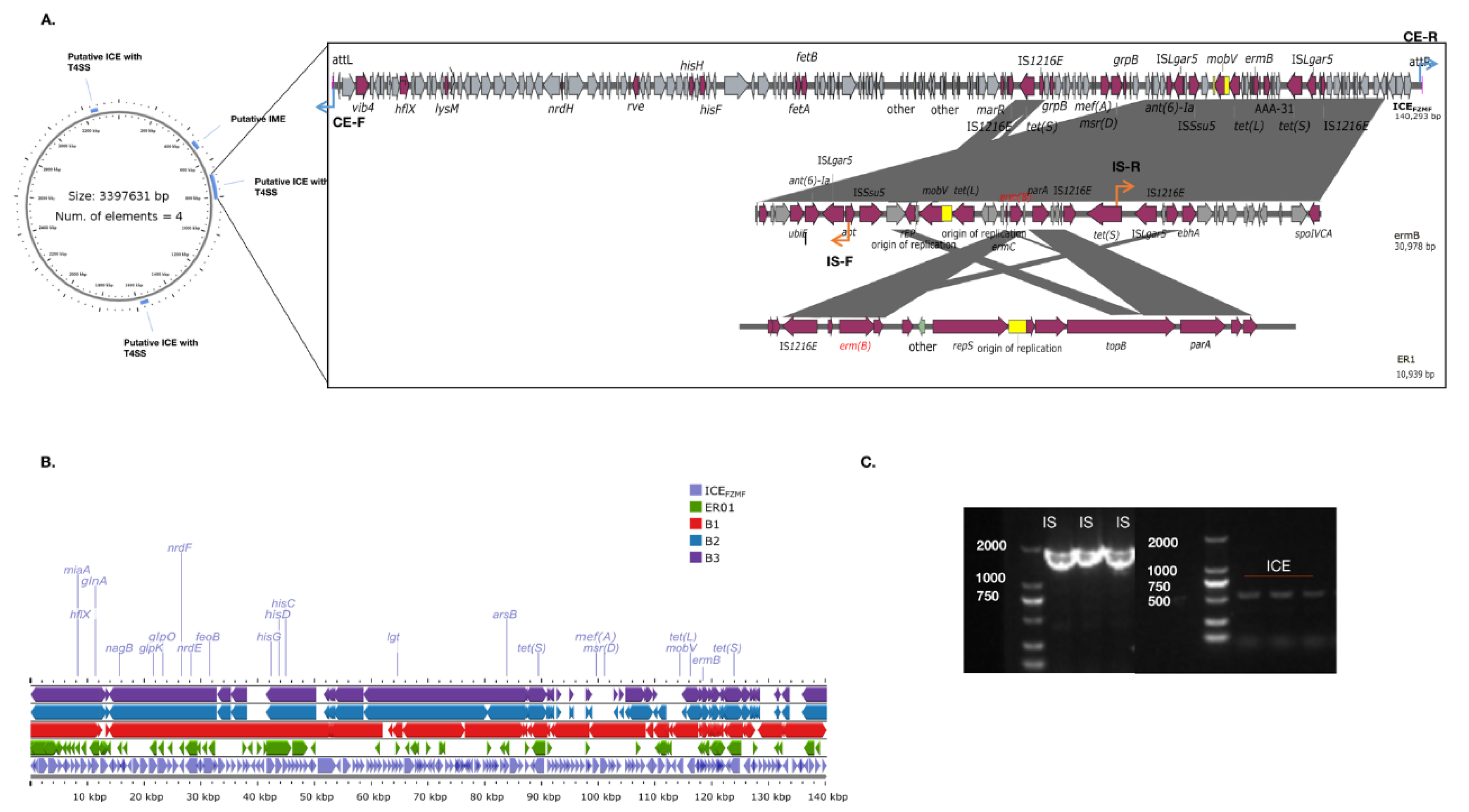 Preprints 152366 g003
