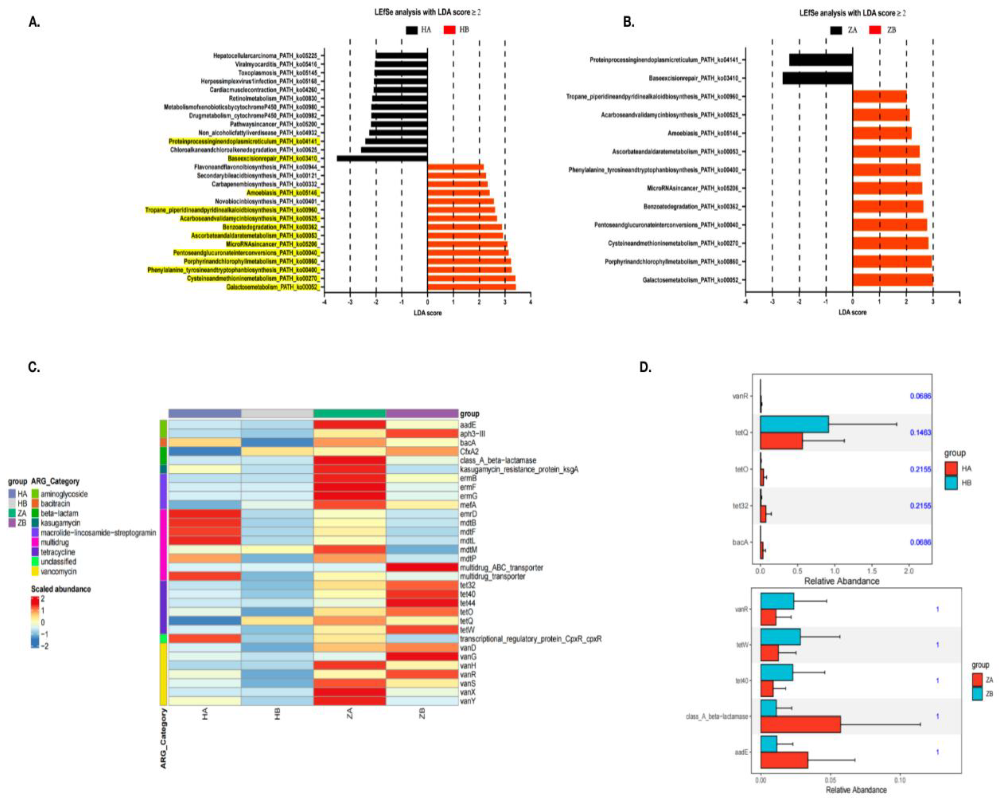 Preprints 152366 g005