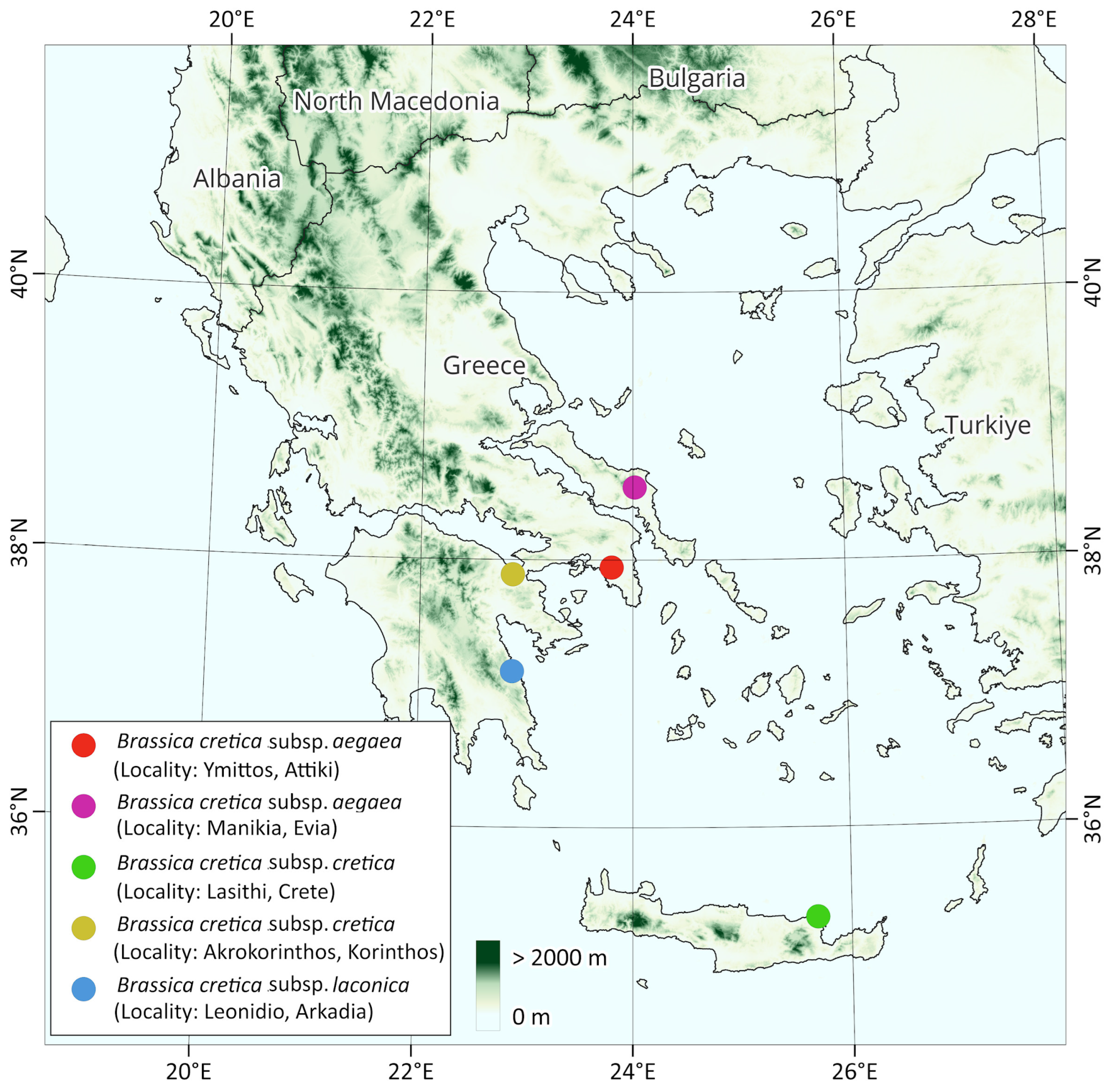 Preprints 152990 g001