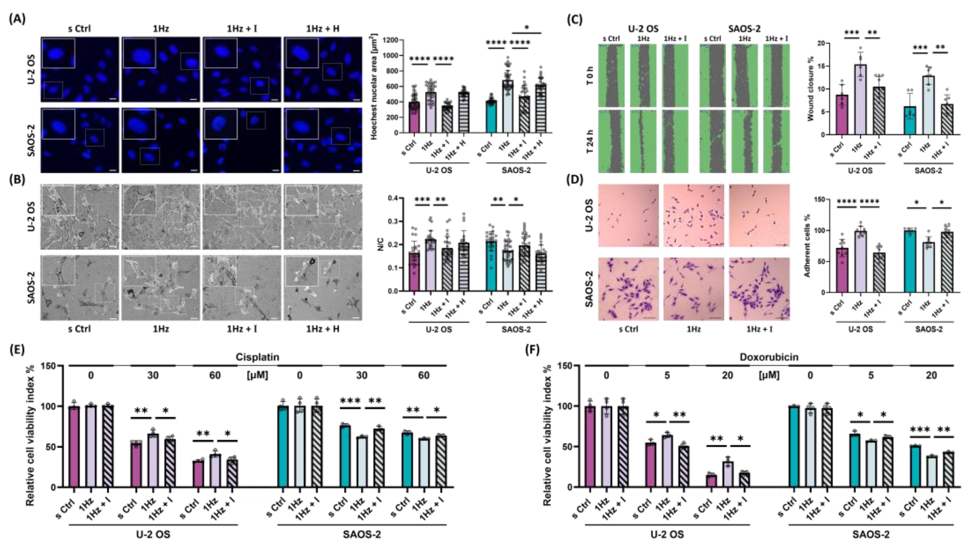 Preprints 172354 g001