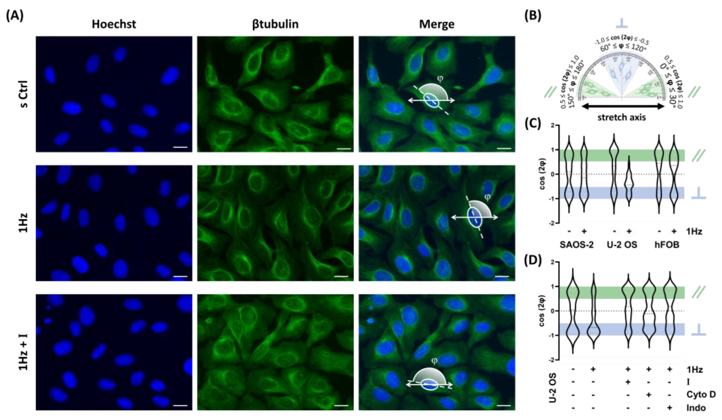 Preprints 172354 g002