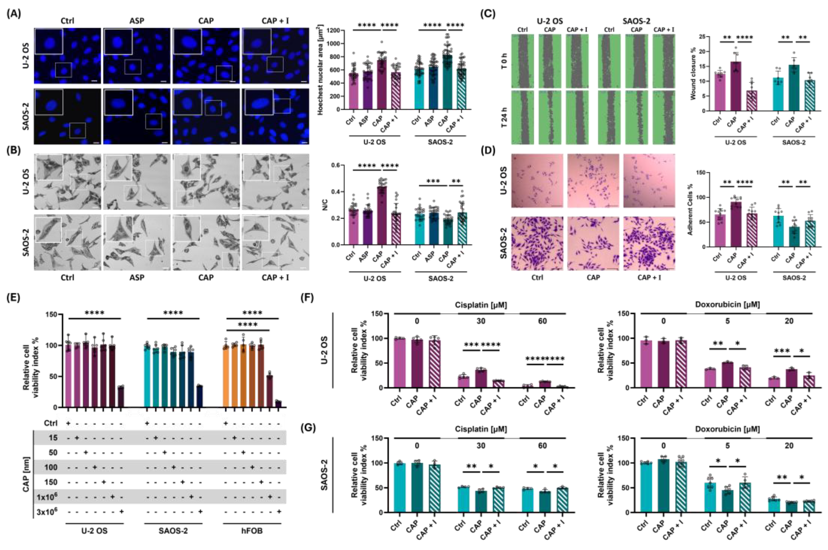 Preprints 172354 g003