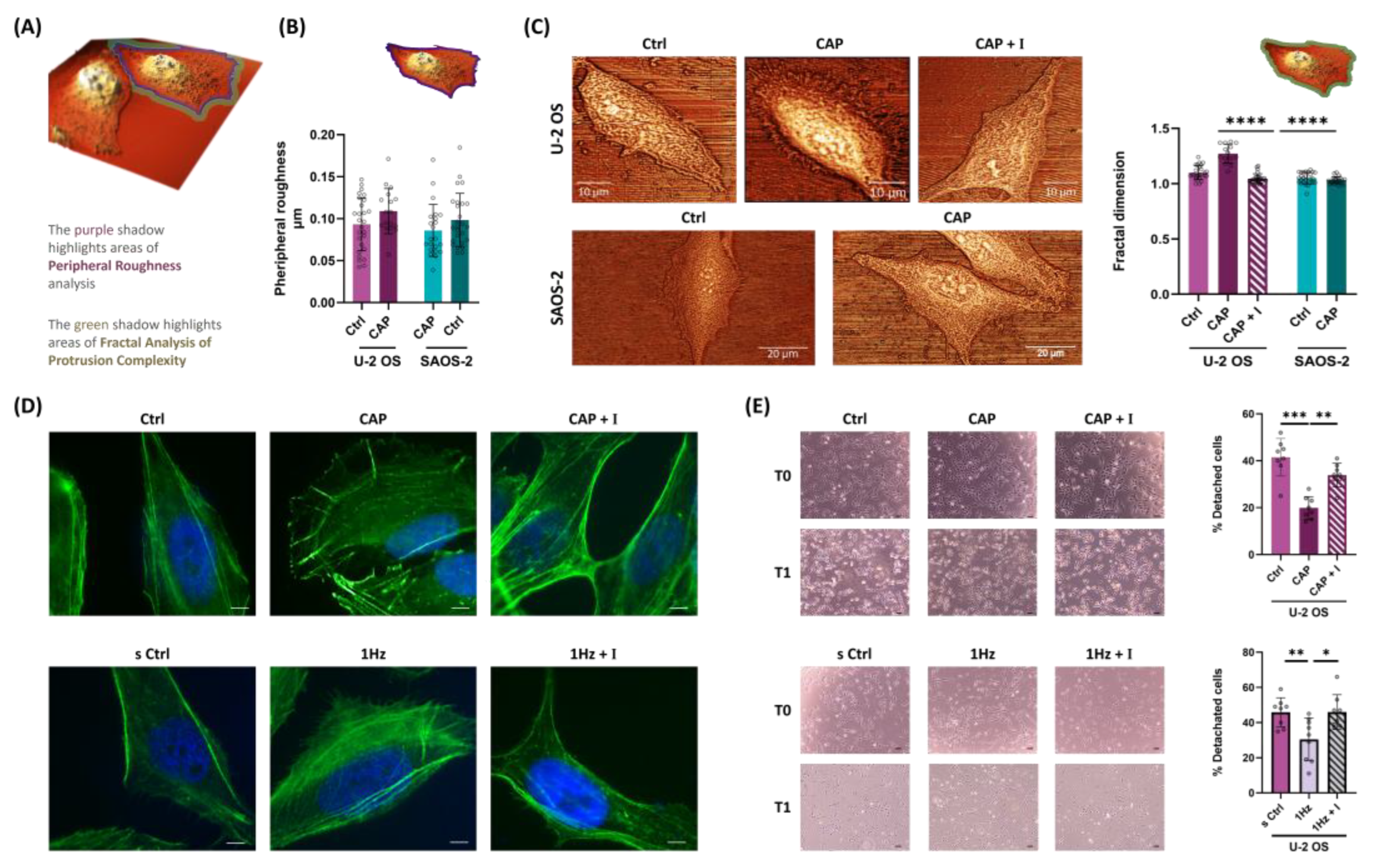 Preprints 172354 g004
