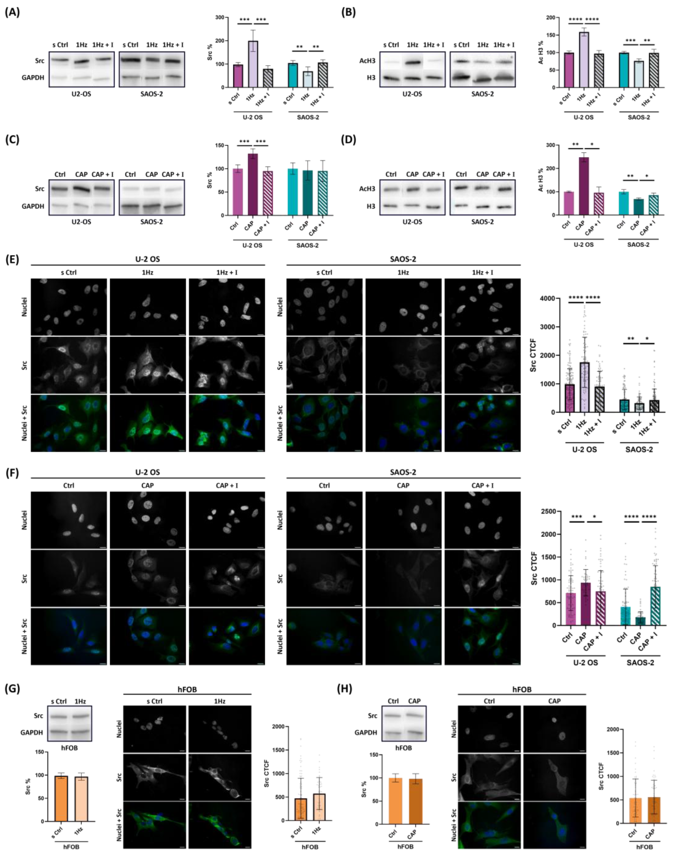 Preprints 172354 g005