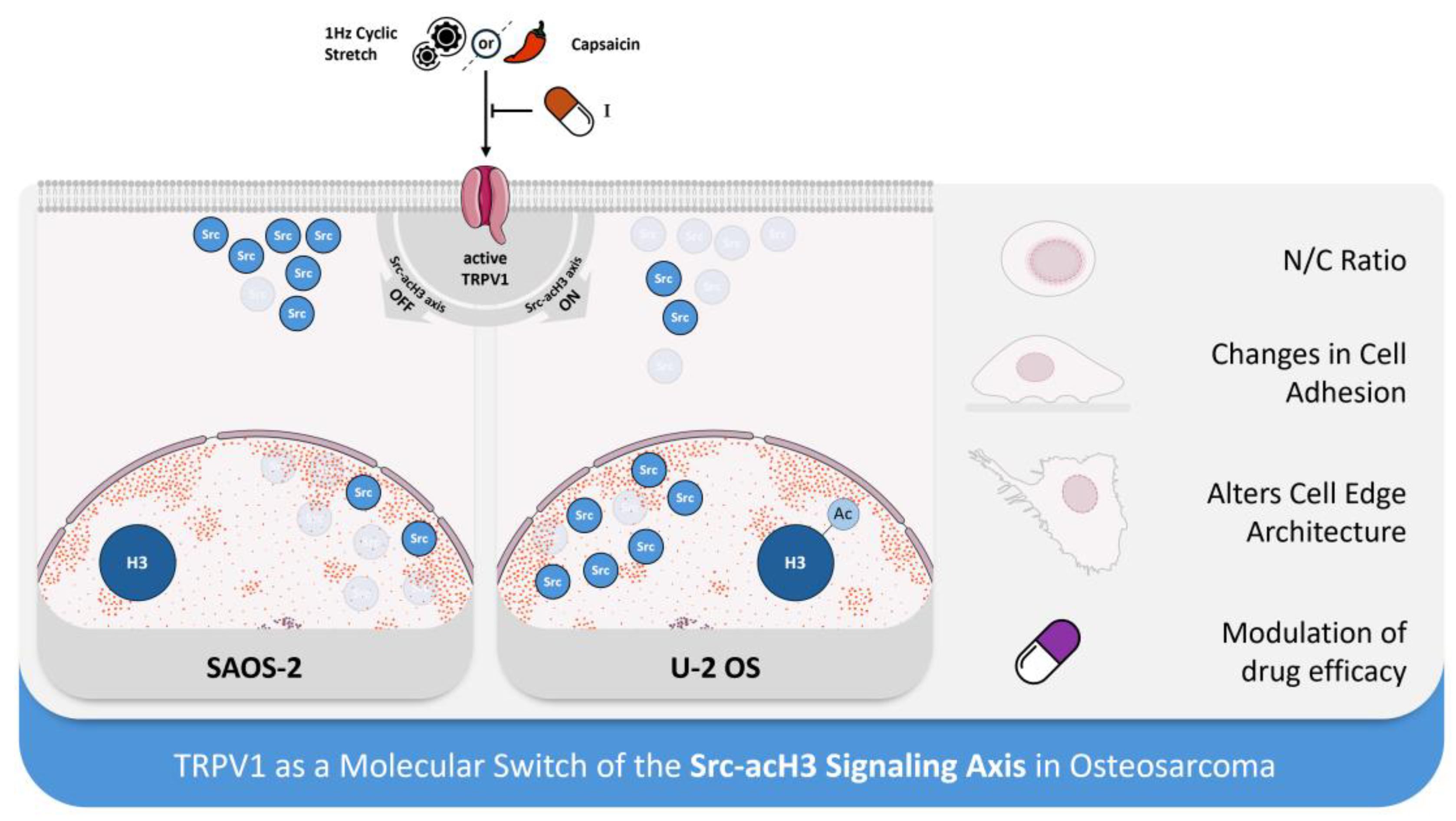 Preprints 172354 g006