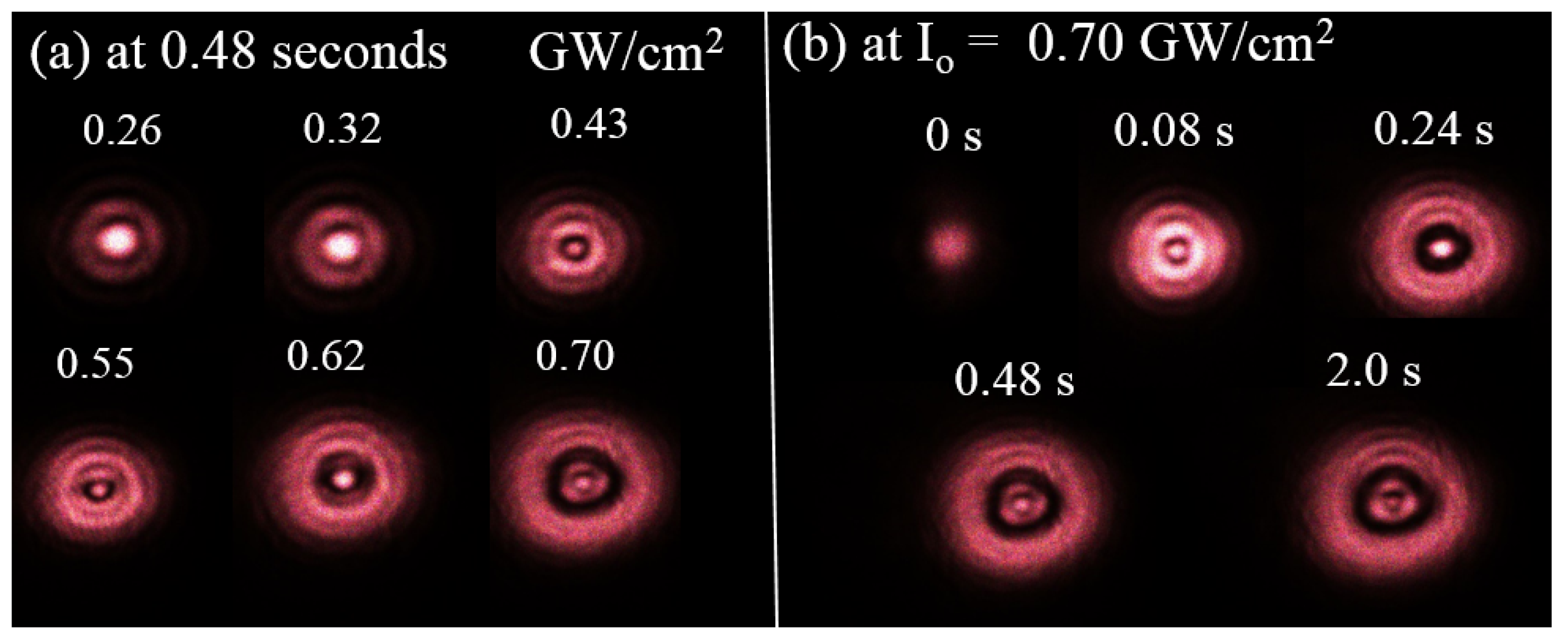 Preprints 143933 g005