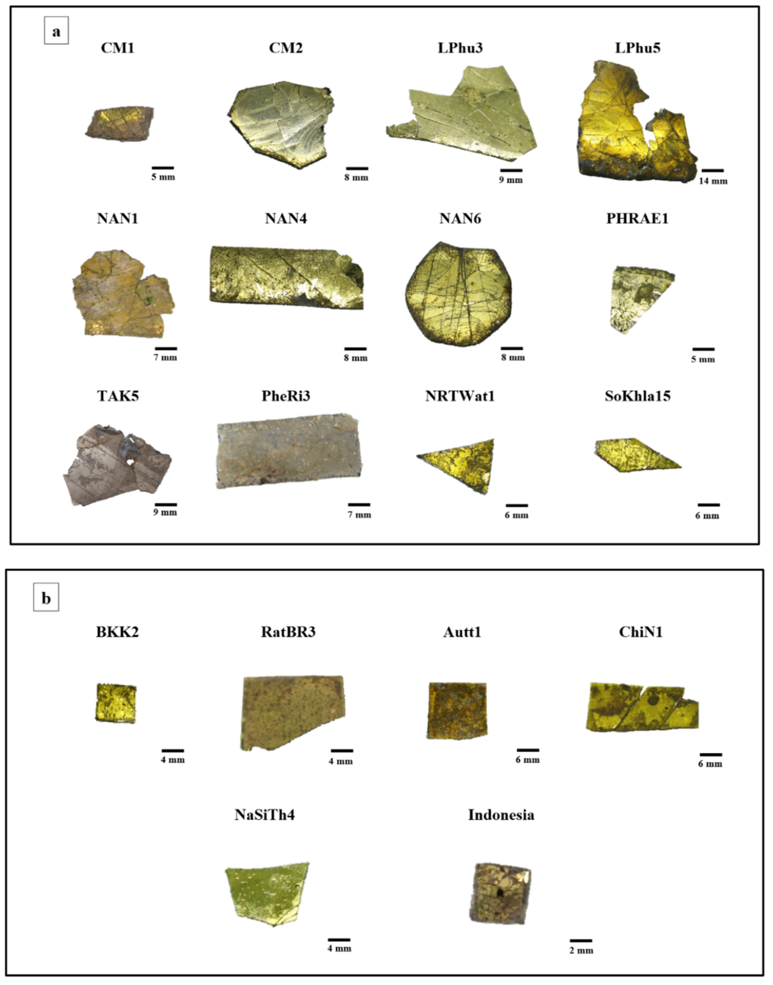 Preprints 187086 g003
