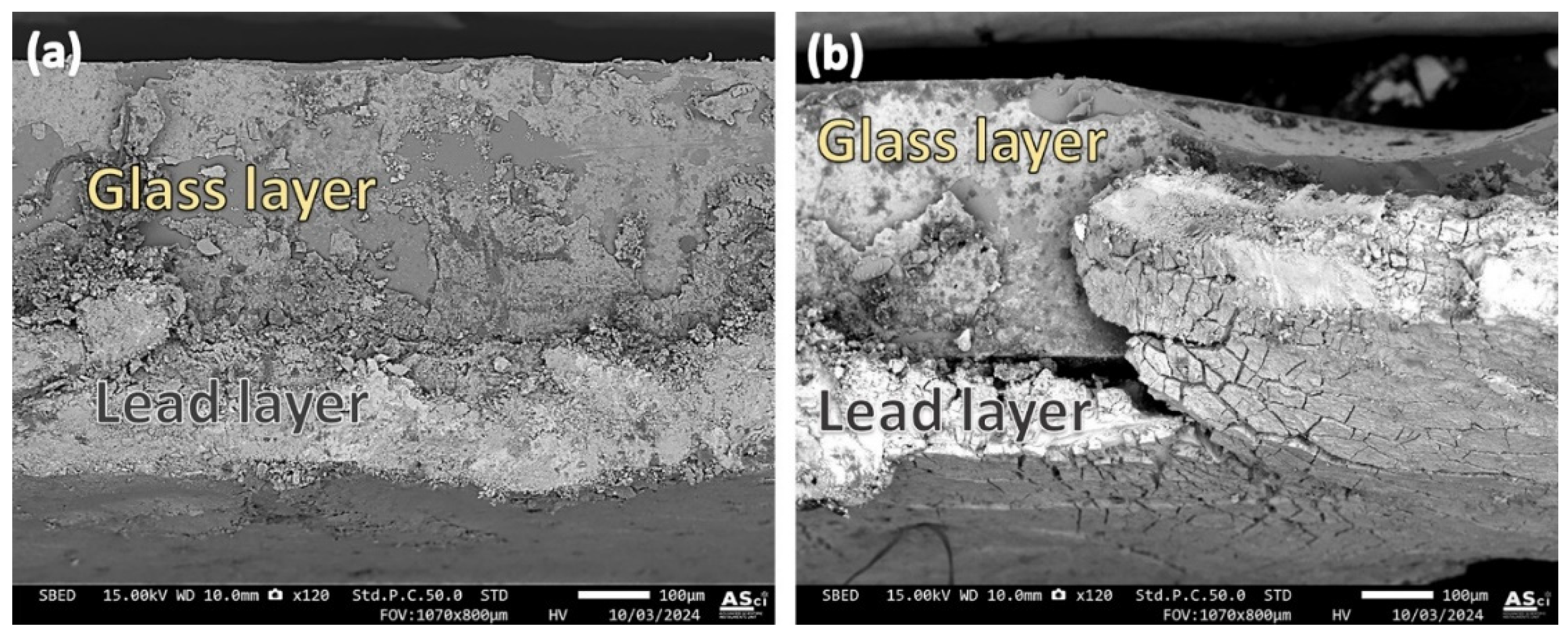 Preprints 187086 g010