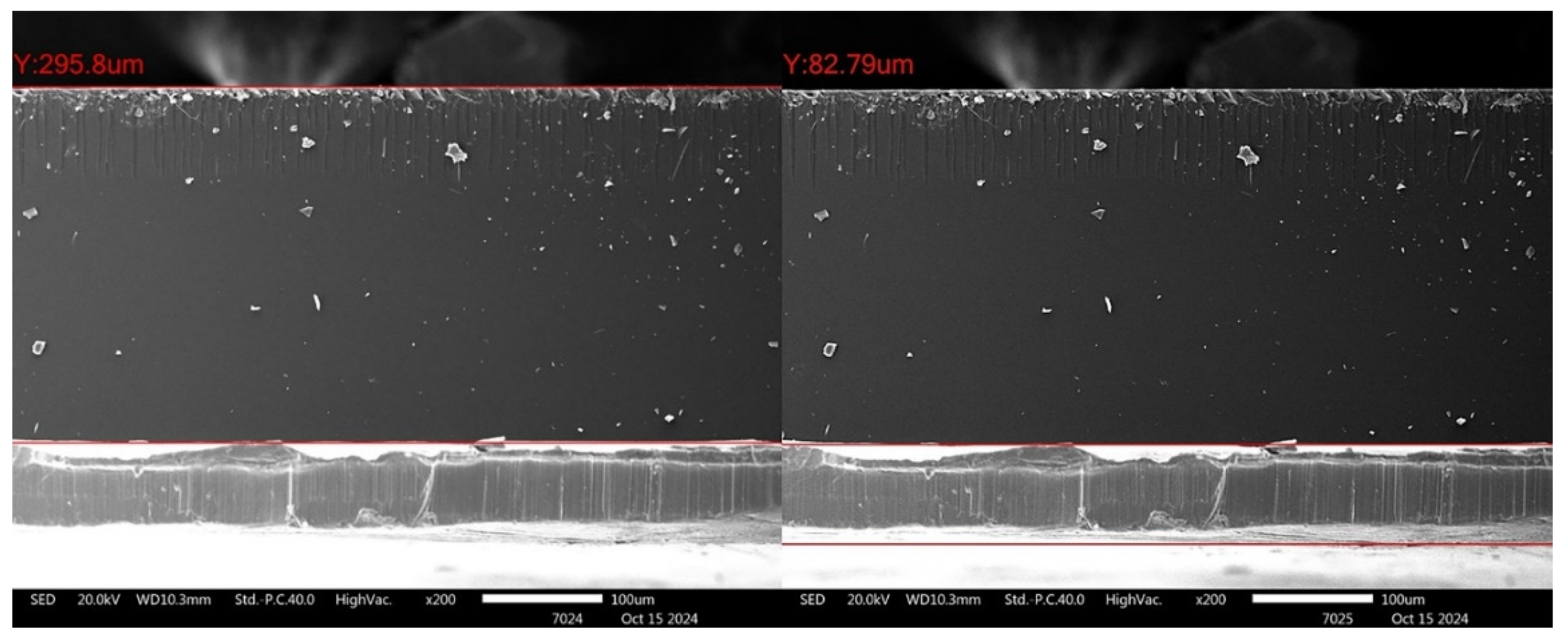 Preprints 187086 g012