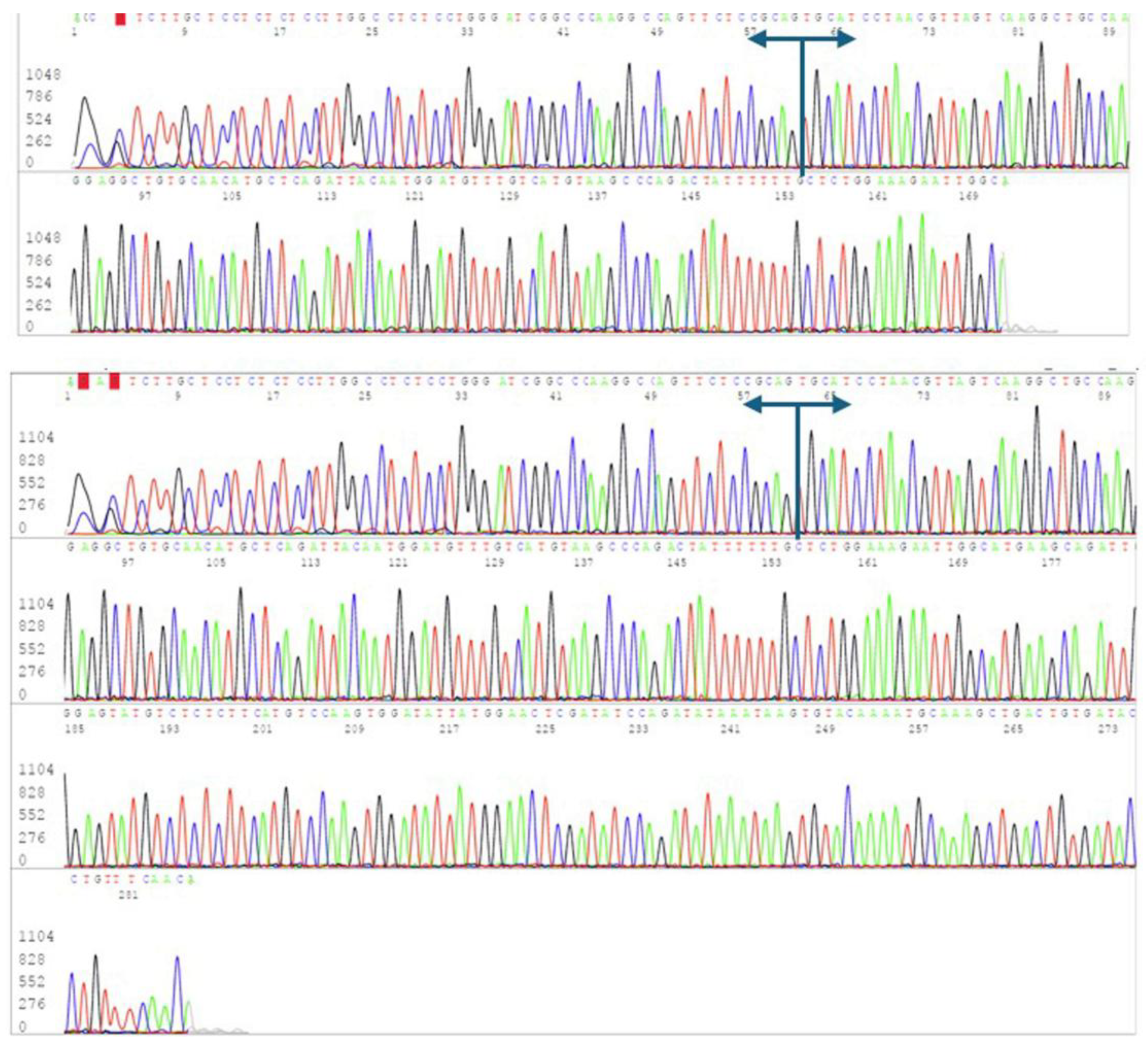 Preprints 228714 g003 Preprints 228714 g003