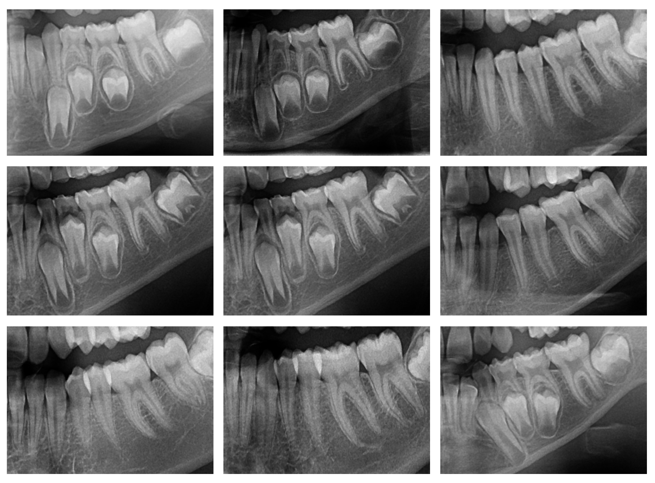 Preprints 143540 g004